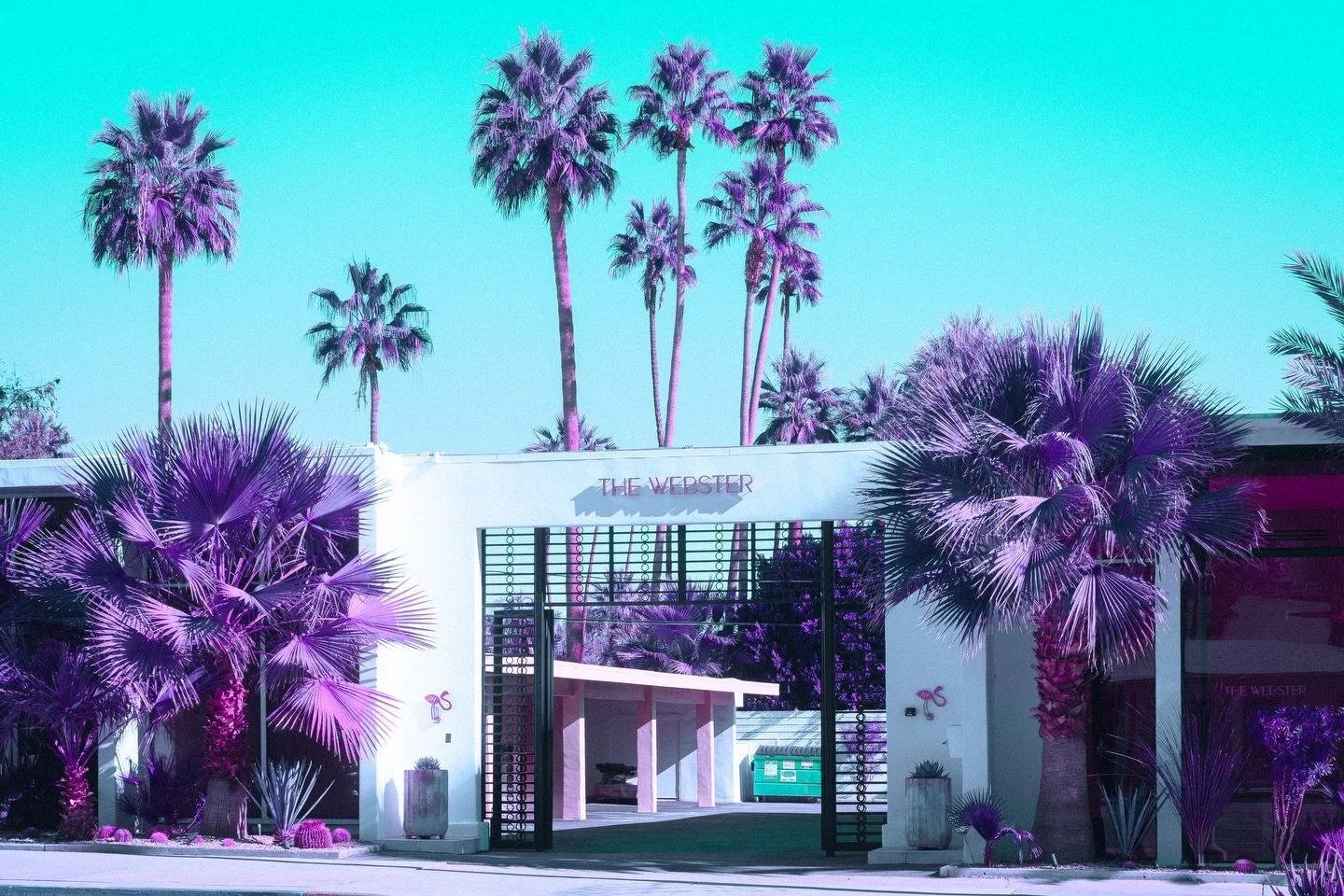 ✨The Webster✨ 

First time in Palm Springs! Such a cool town with unique architecture and beautiful weather. Nothing beats shorts and a t-shirt in December! 🌞 

This is a digital image that&rsquo;s been color-shifted to imitate LomoChrome Purple. So