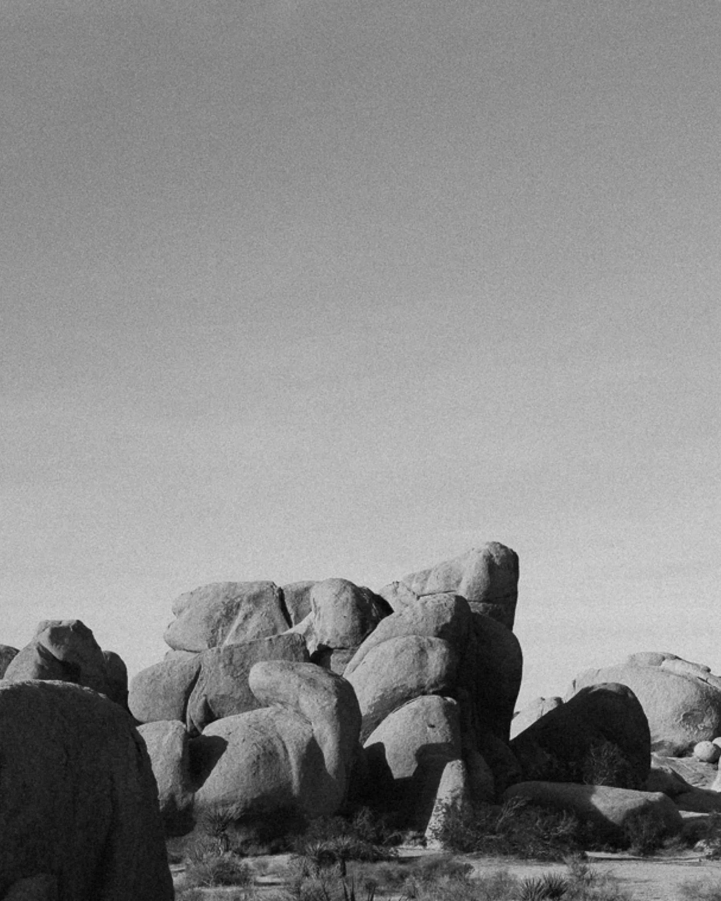 ⏩ Swipe for Panoramic ⏩

I didn&rsquo;t expect the scale of Joshua Tree National Park. I knew there would be cool trees, but I was blown away by the rocks and vistas. As a climber, I should&rsquo;ve expected big rocks in a world-renowned climbing loc