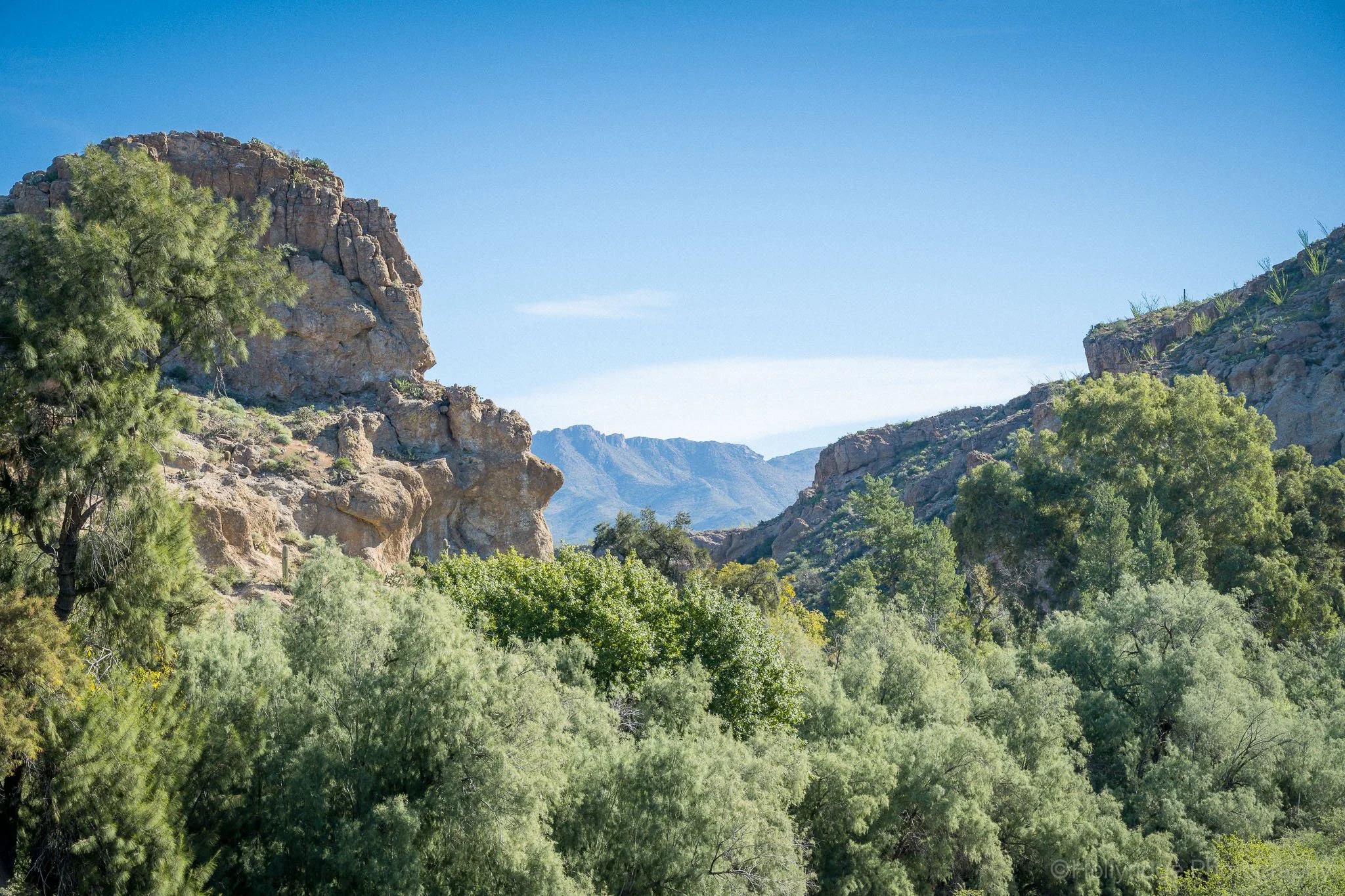 Boyce Thompson Arboretum | An Easy Arizona Day Trip from Phoenix