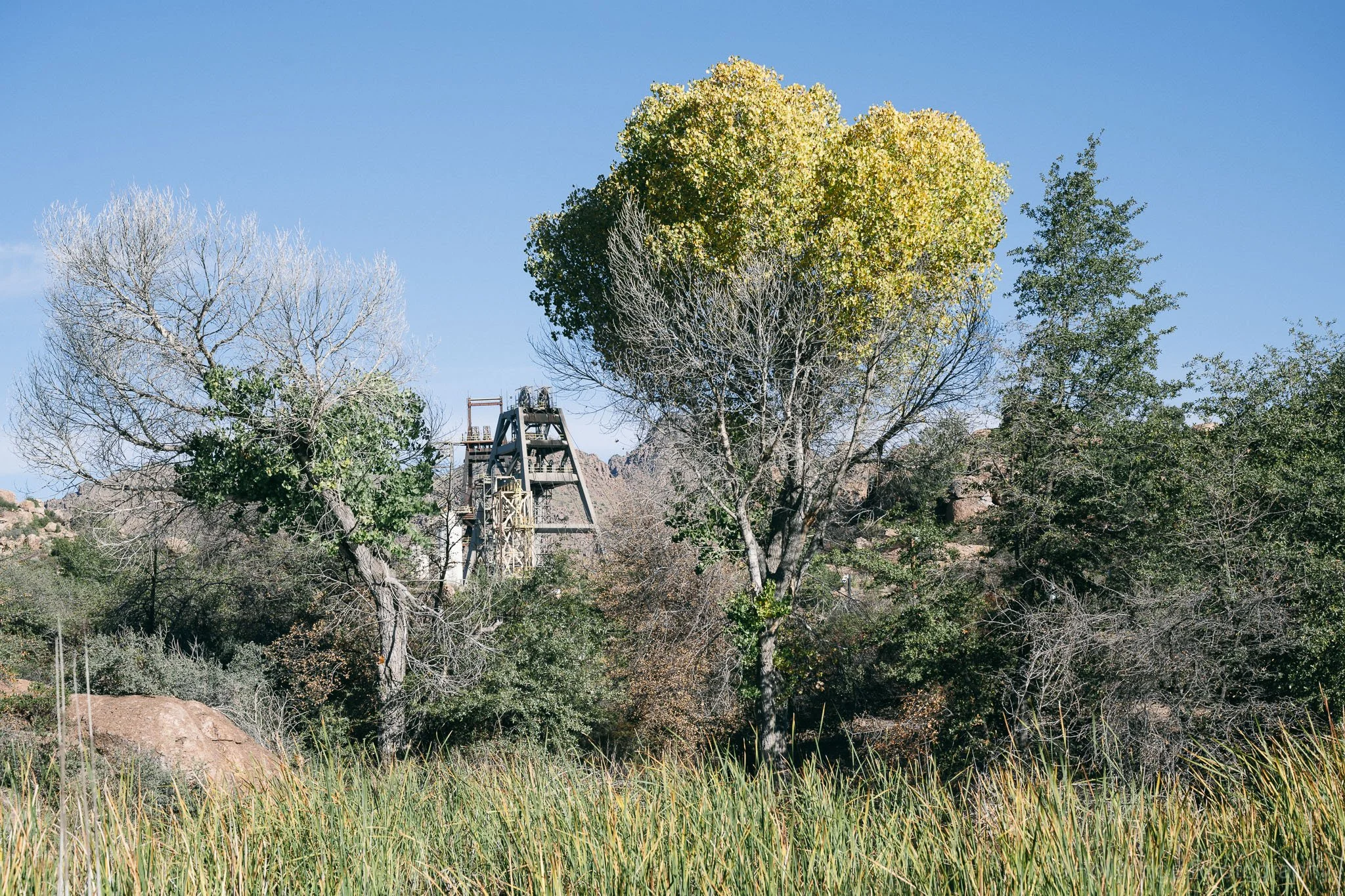 Mine structure visible over desert trees at The Magma Gardens near Superior Arizona with rugged mountains in the background