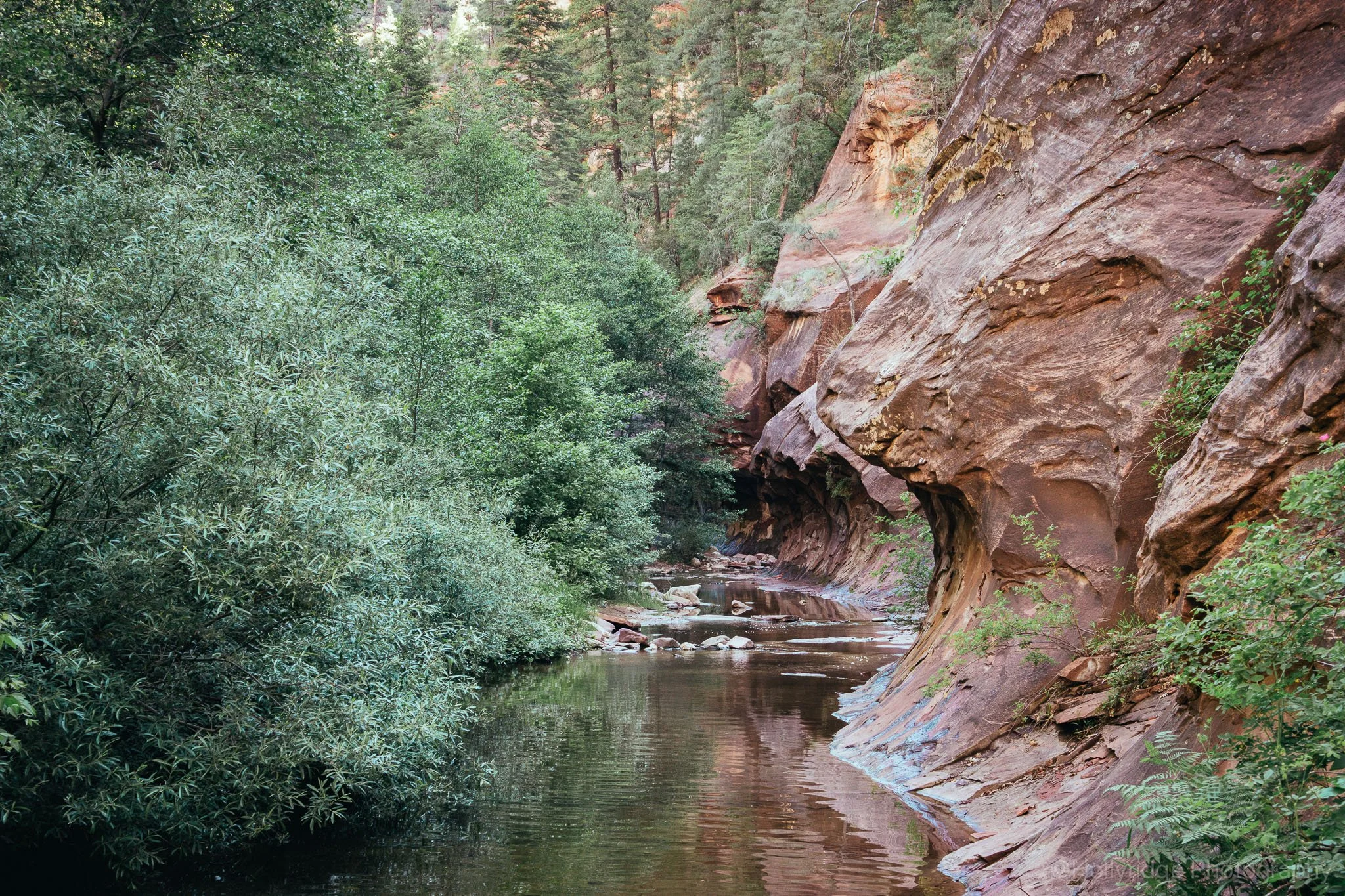 Oak Creek winding through red rock scenery in Sedona, Arizona