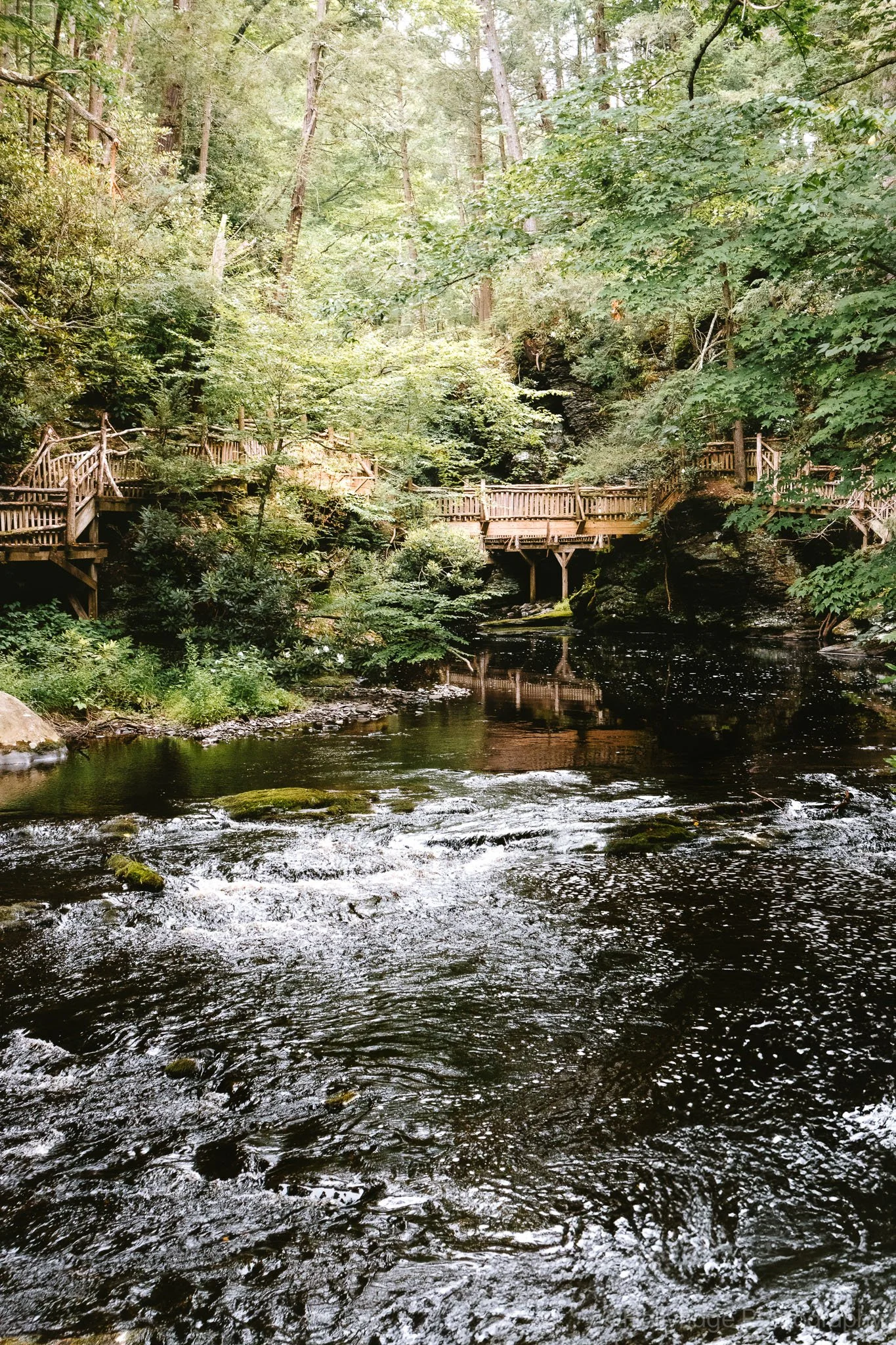 Wooden bridge crossing forest stream in the Pocono Mountains of Pennsylvania
