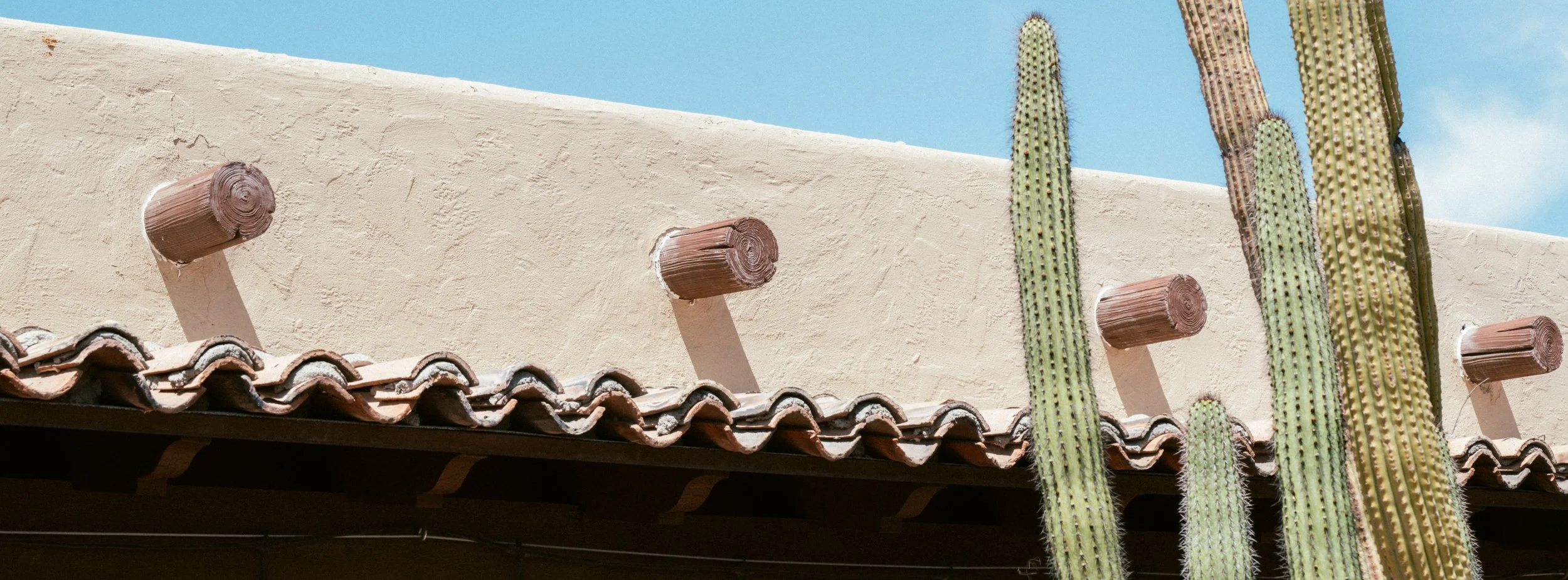 Cacti and wooden log décor on an exterior wall beneath a blue sky.