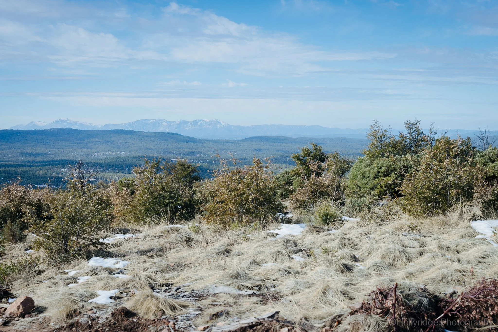 Mountain vista near Flagstaff, Arizona with forested slopes and distant peaks