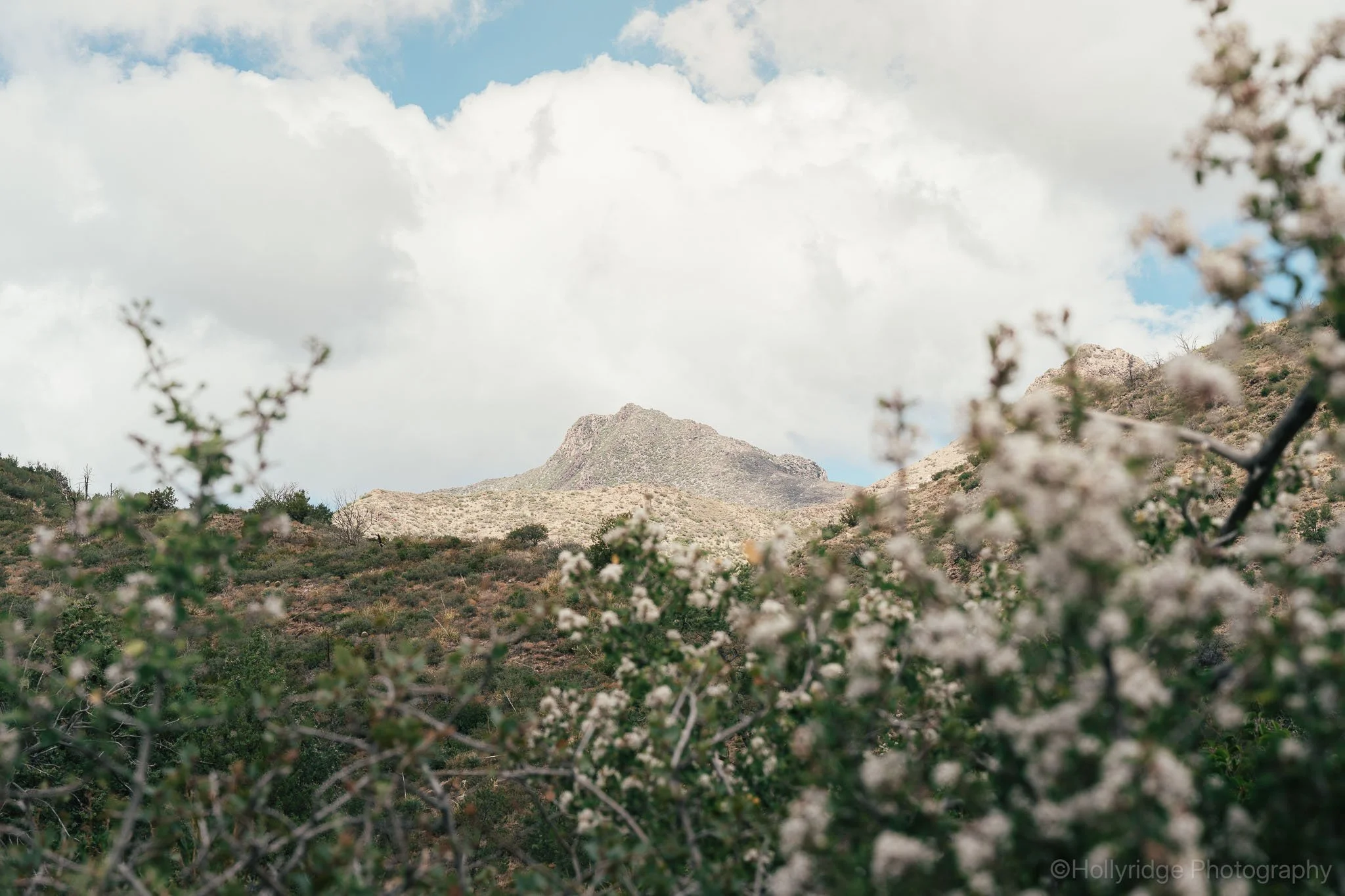 Distant desert butte rising above open Arizona terrain