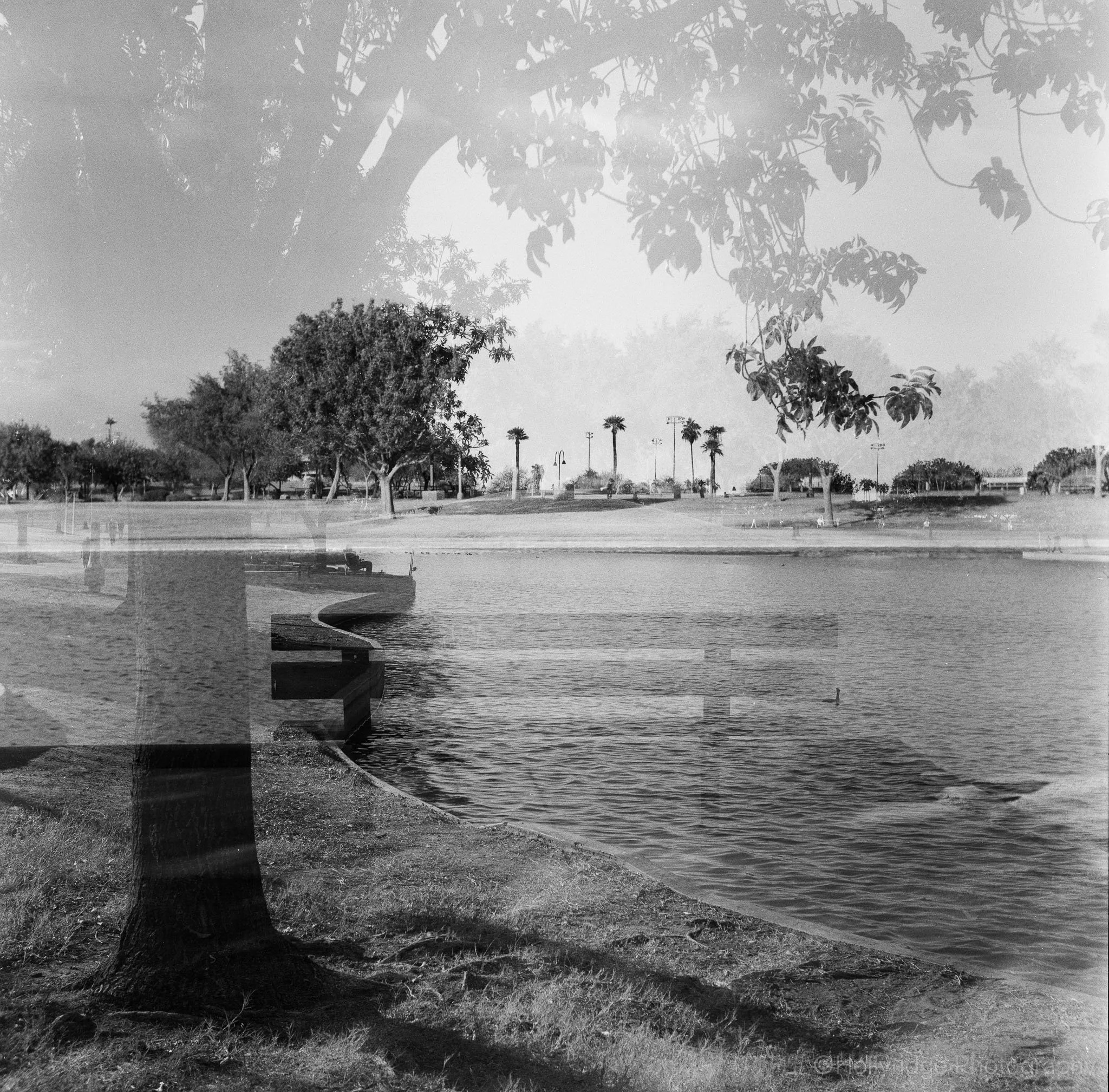 Double exposure bench scene at Steele Indian School Park in Phoenix, Arizona