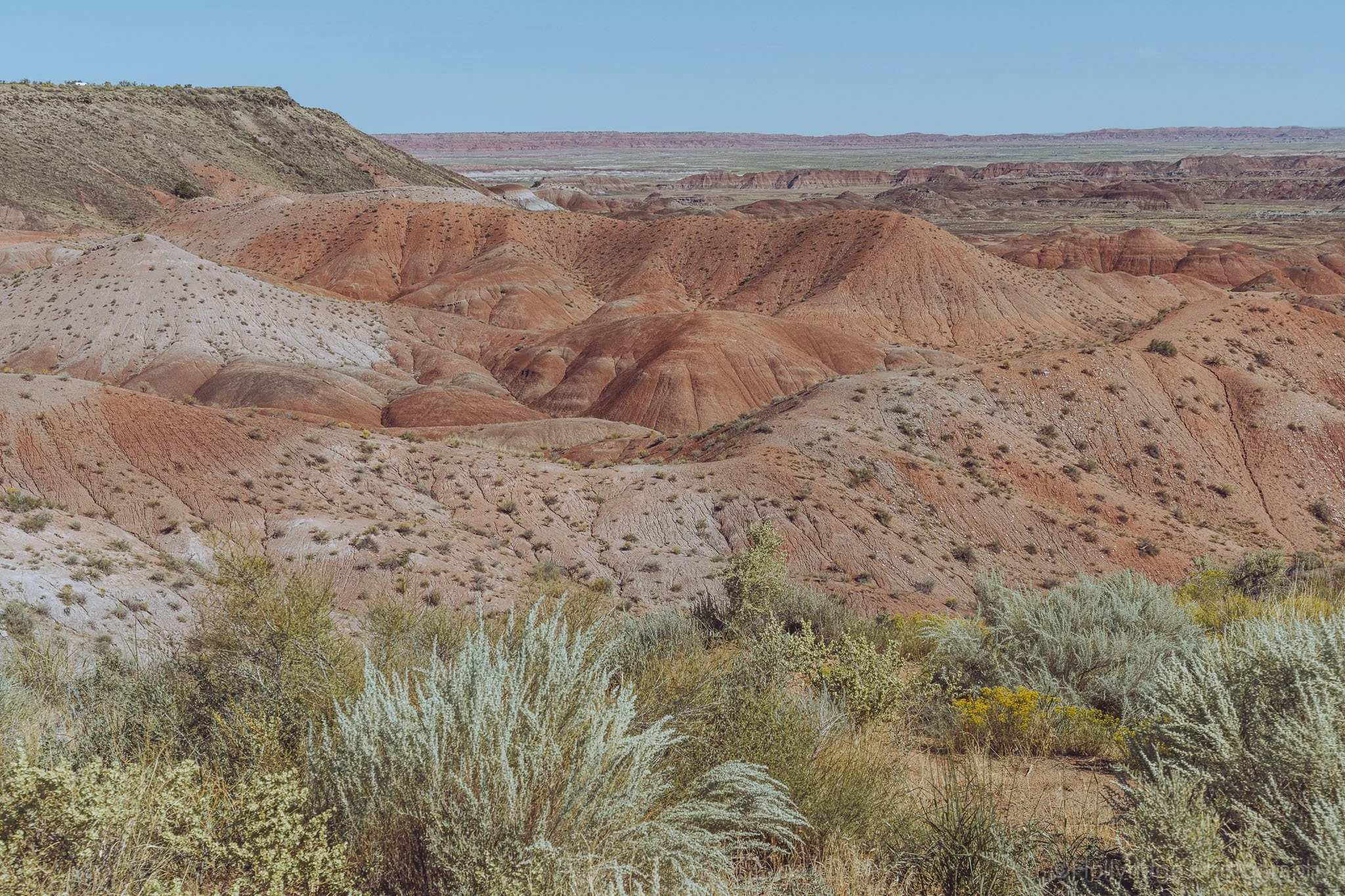 Red sand formations and layered hills in Arizona’s Painted Desert landscape