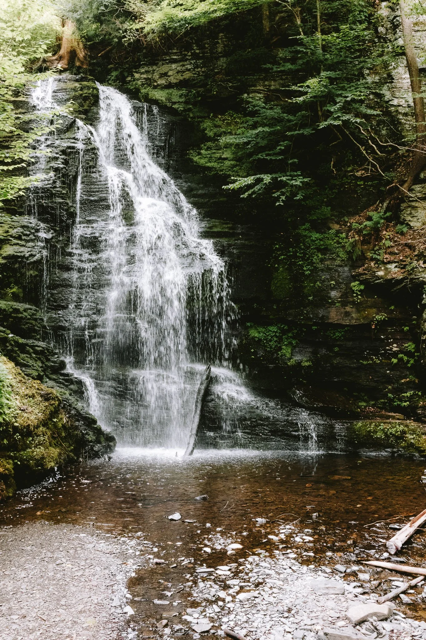 Scenic waterfall surrounded by forest in the Pocono Mountains, Pennsylvania