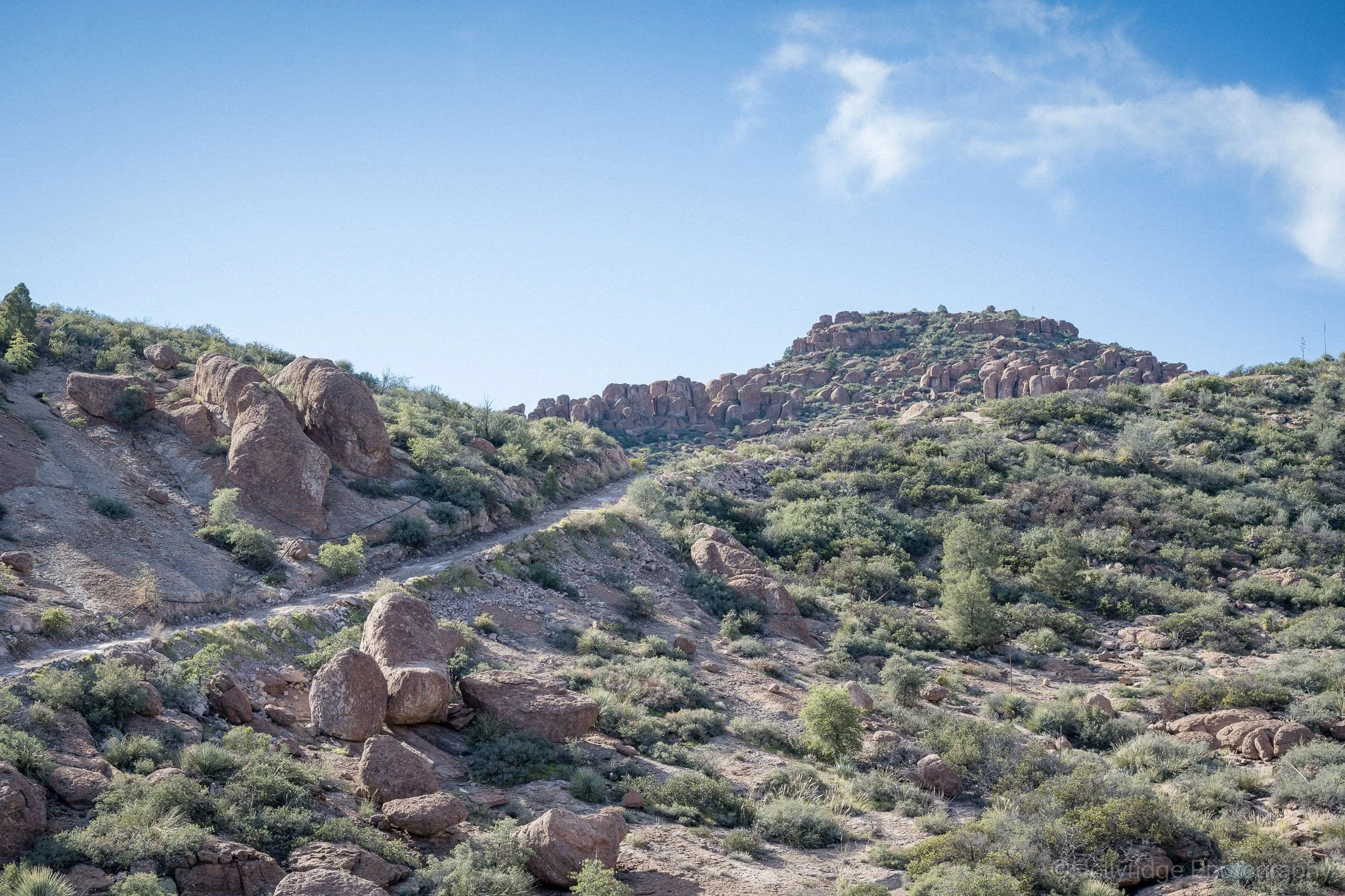 Rocky hillside with scattered boulders at The Magma Gardens near Superior Arizona popular for desert exploration and climbing