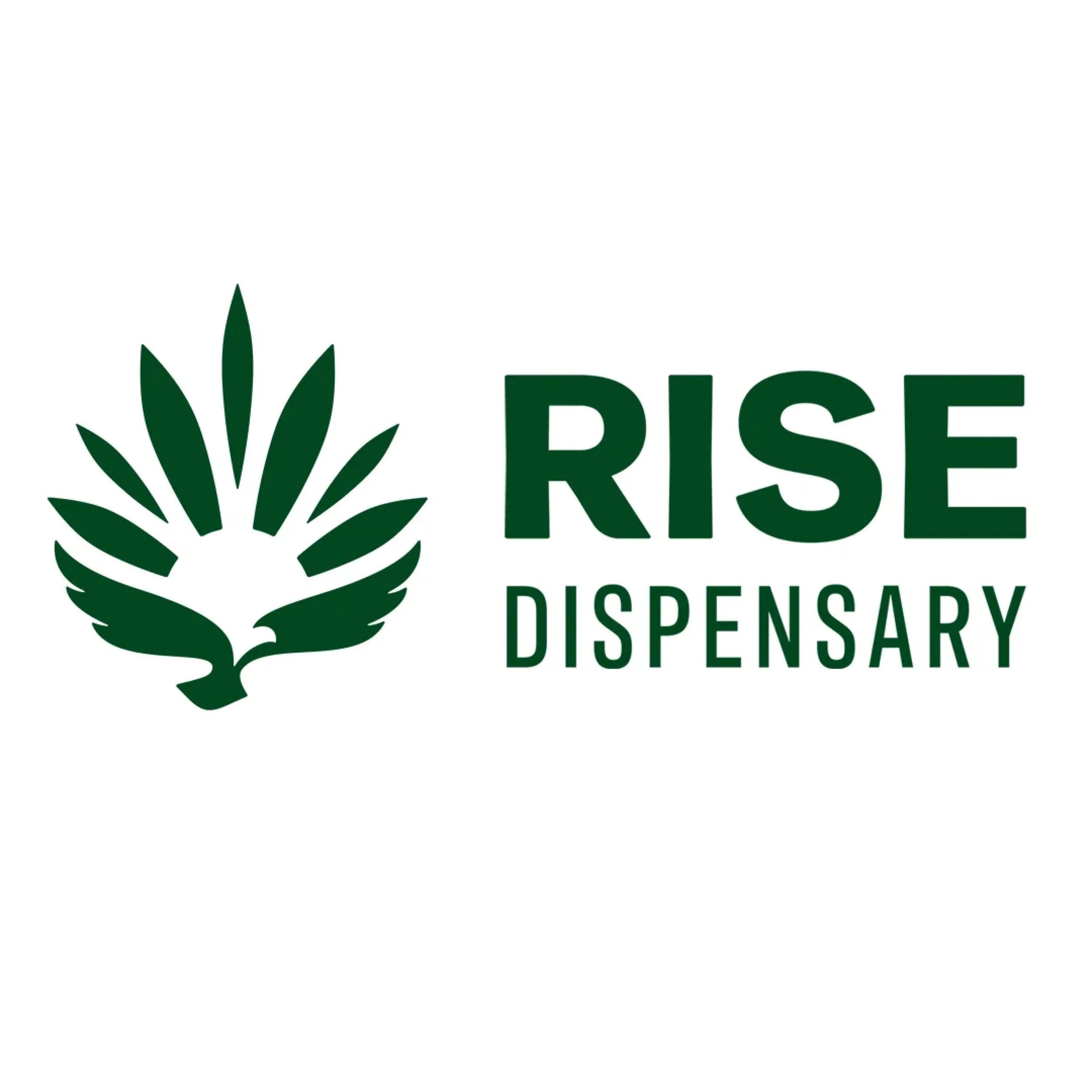 rise logo.jpg
