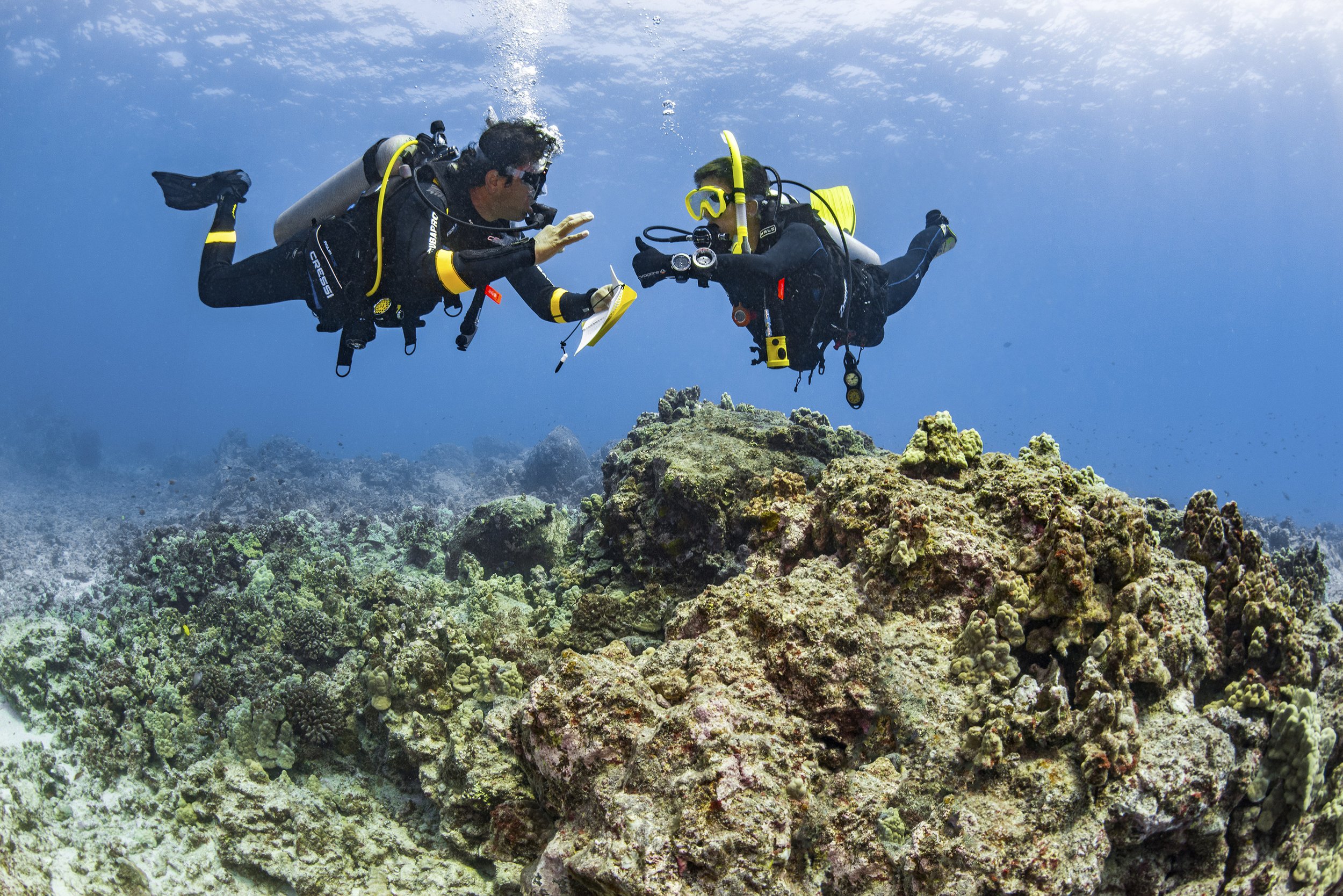 Dive-Theory-1.jpg