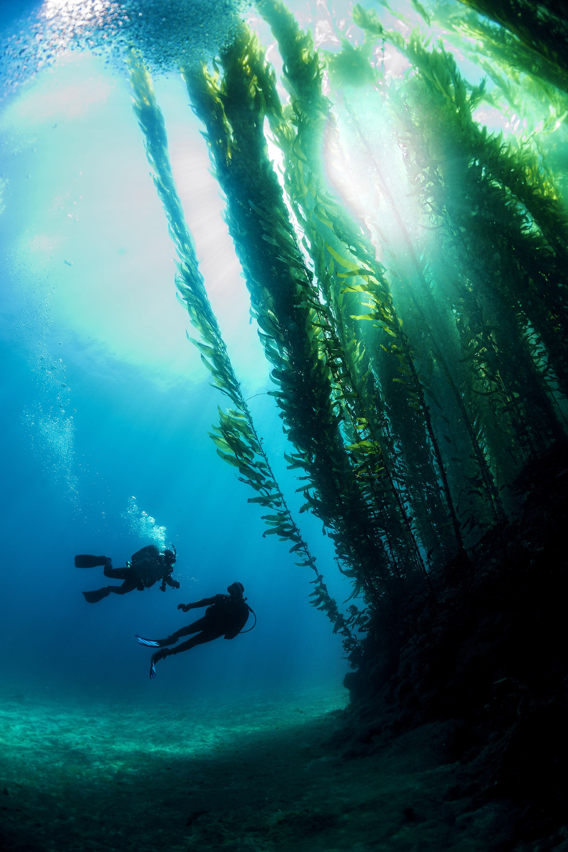 Deep-Diver-1.jpg
