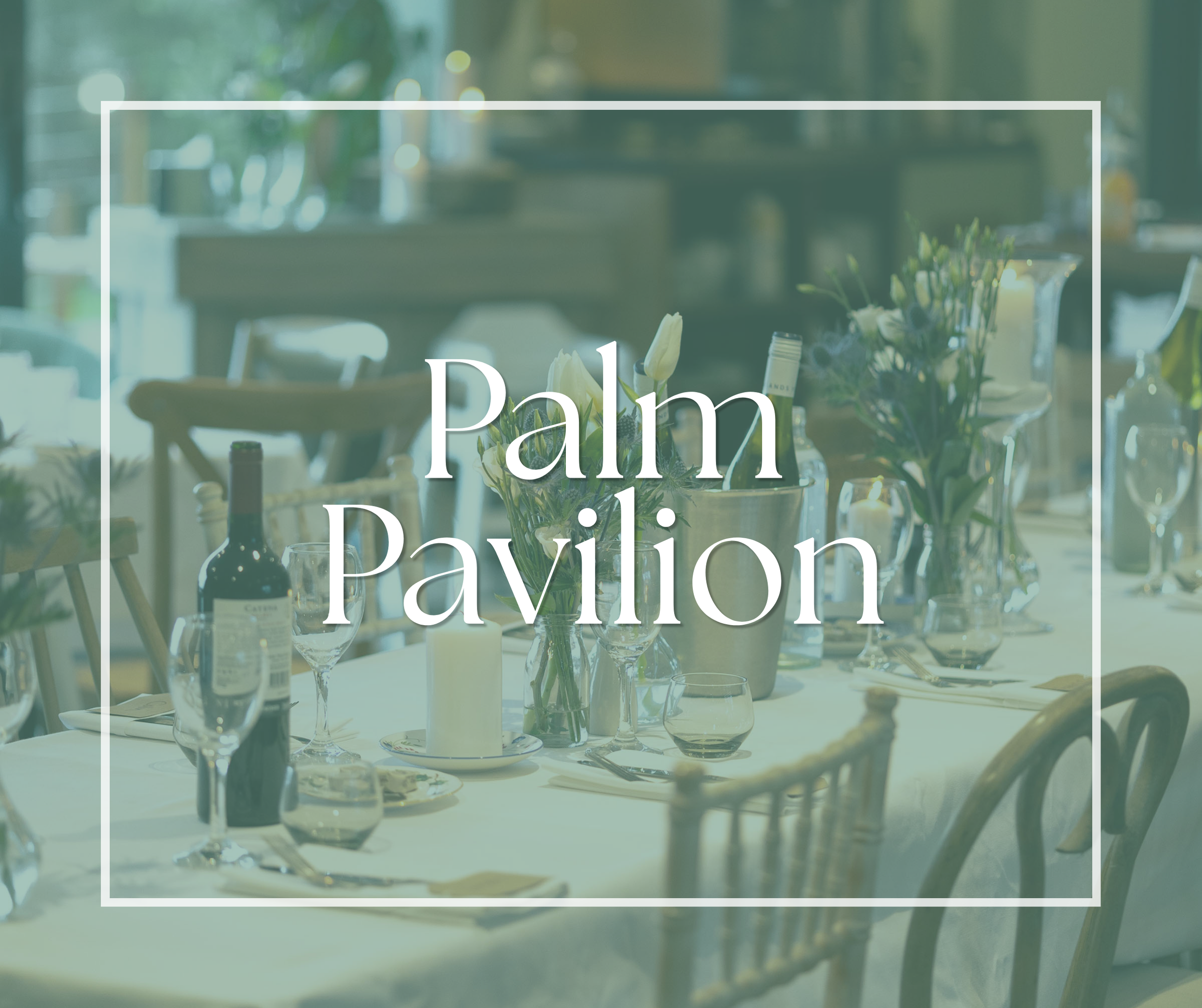 palm.png