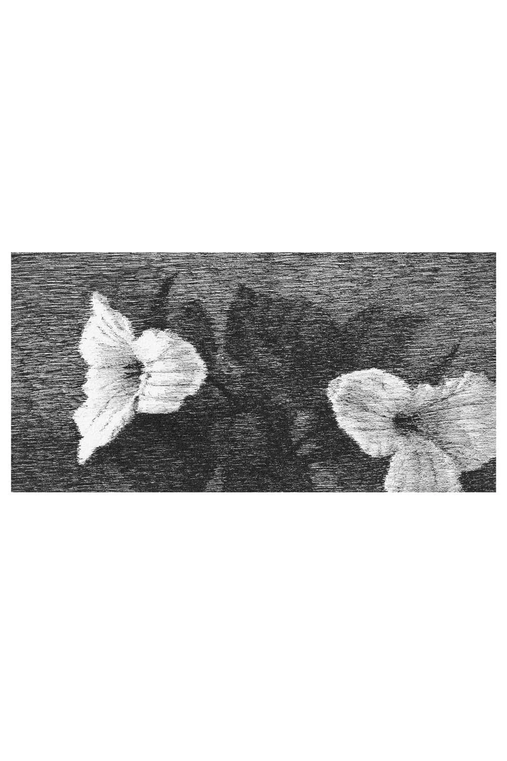 Trillium Blooms - Print