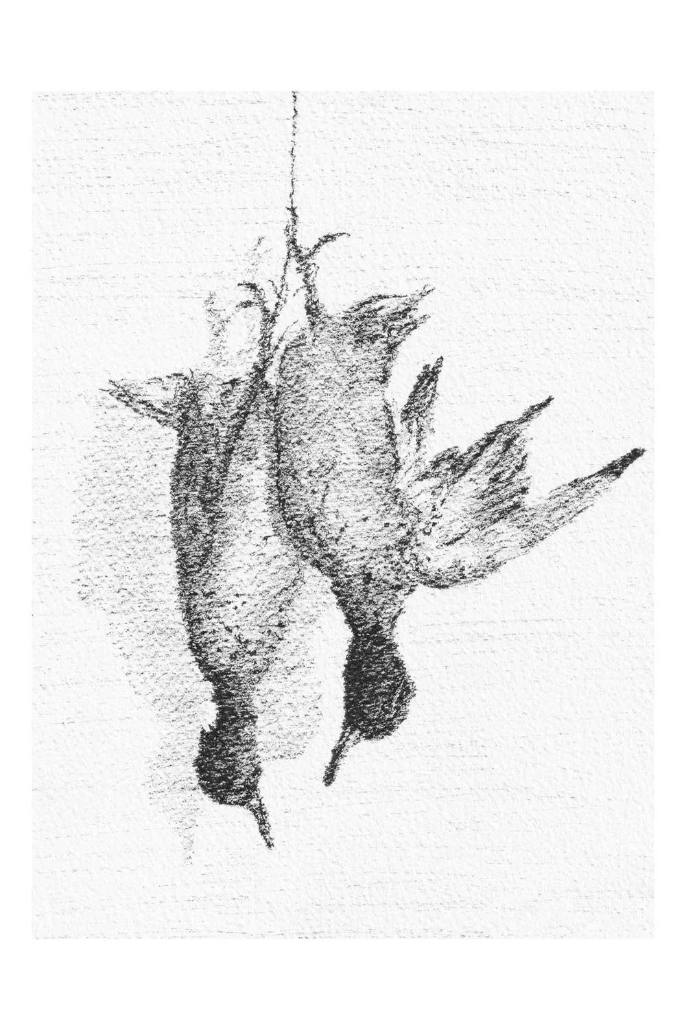 Image06.jpg