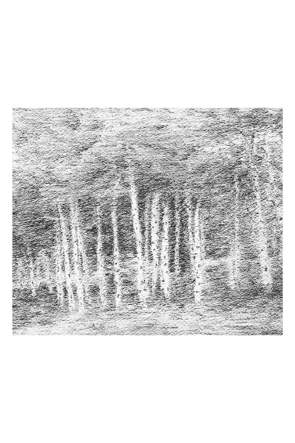 Through the Aspen Trees - Print