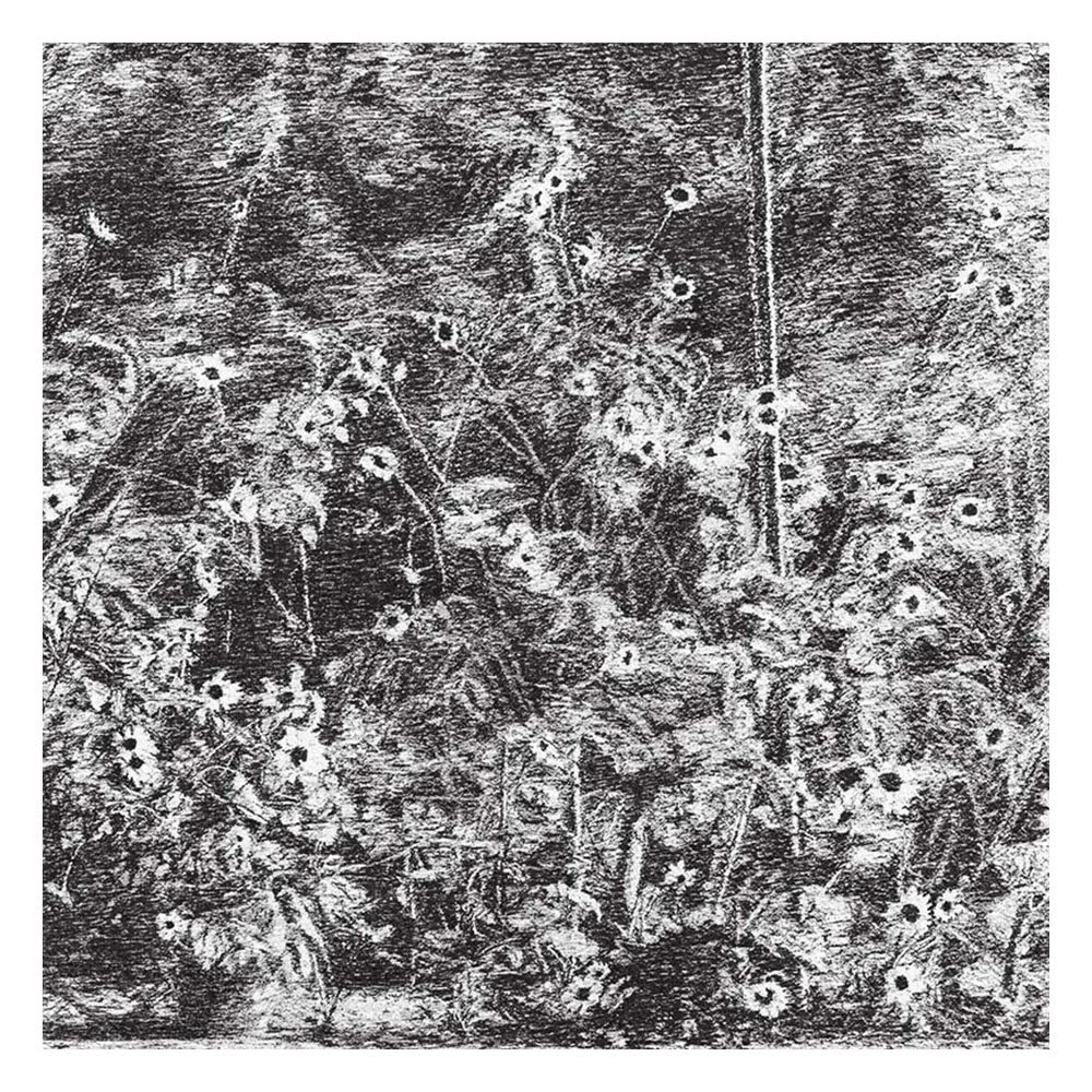 Image04.jpg