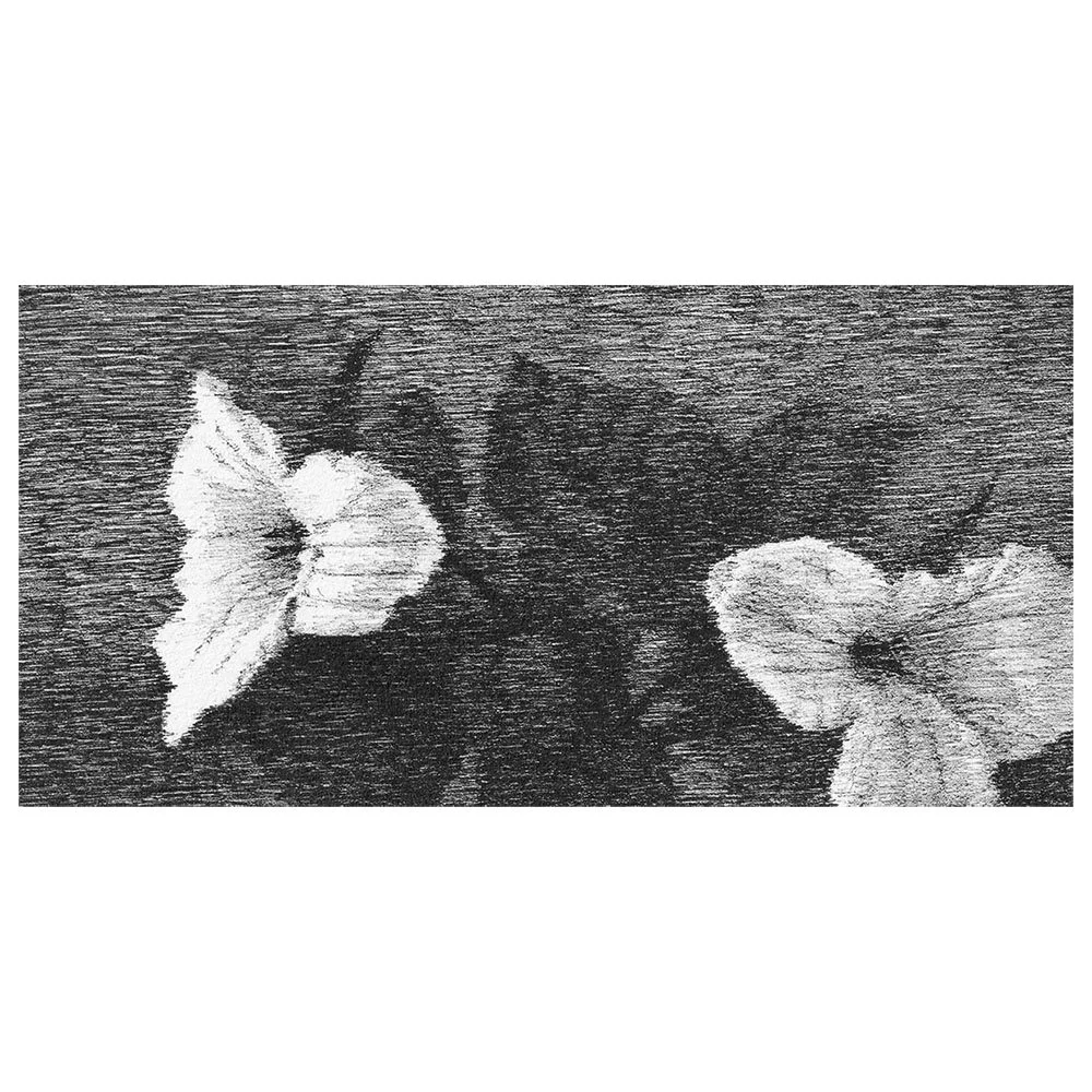 Image06.jpg
