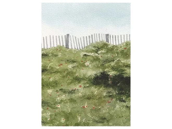 Seawall