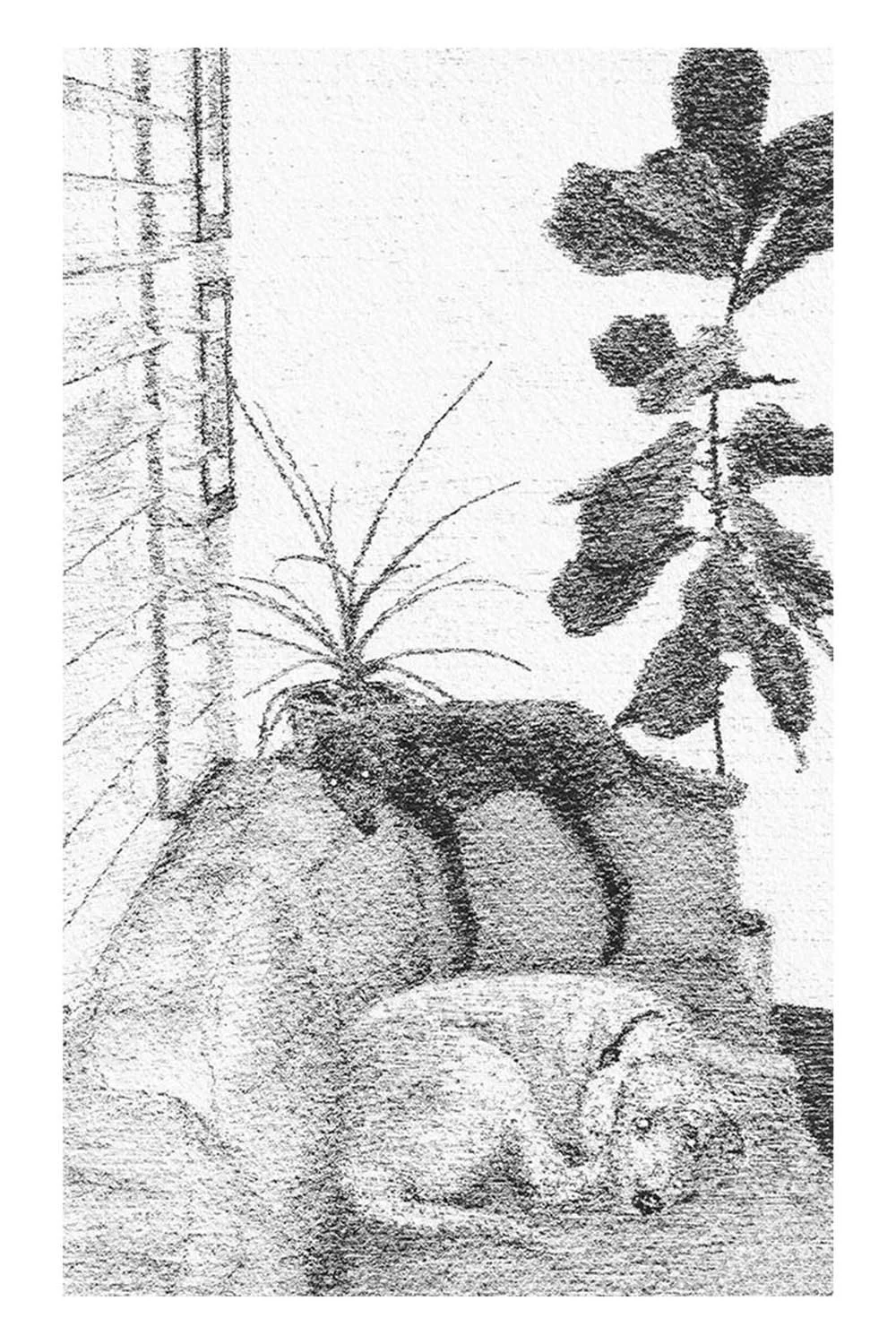 Image04.jpg