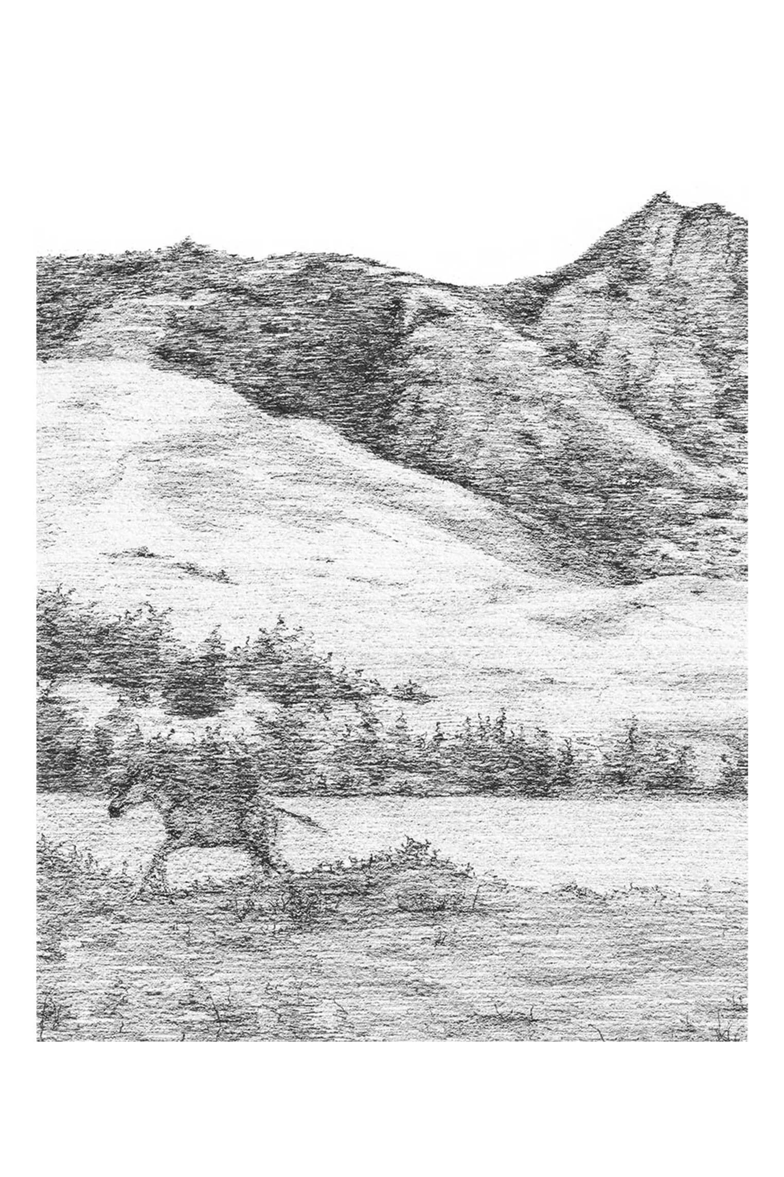 Baby Horse - Print