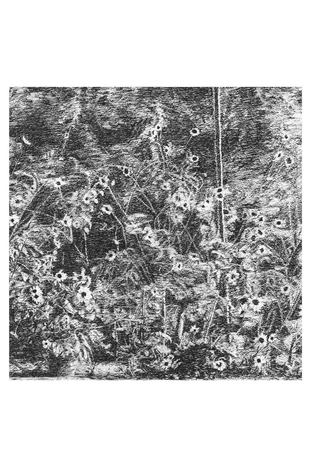 Looking at Flowers - Print