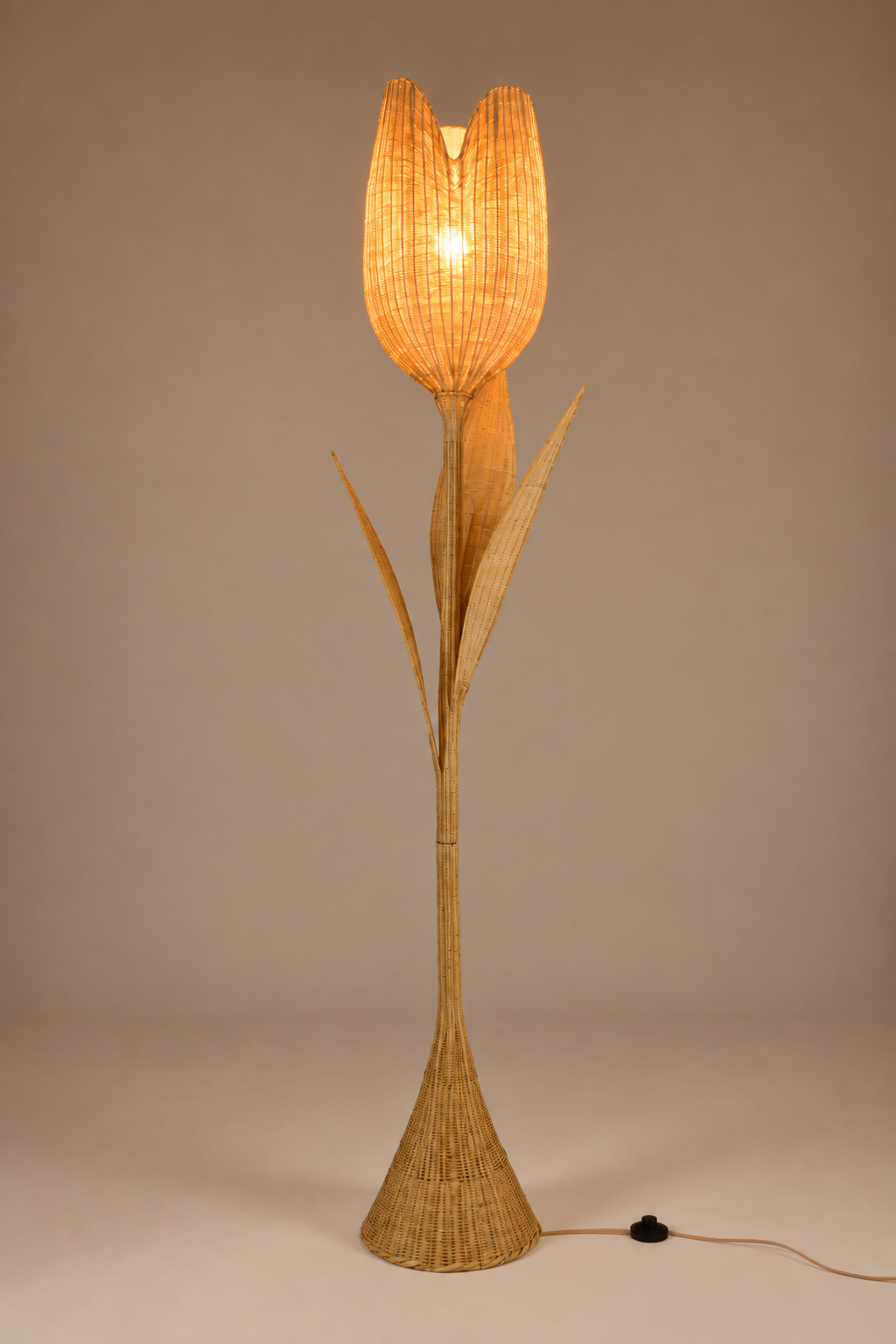 Flo_Floor lamp-jas.png