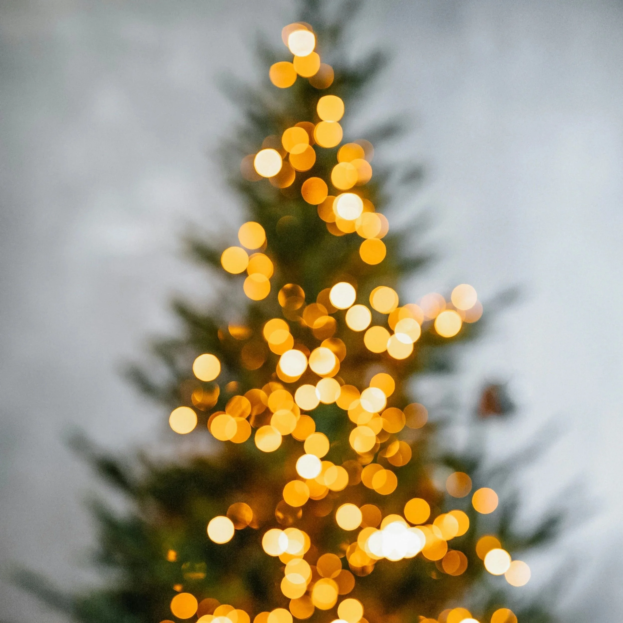 Christmas As An Adult: A Holiday Time Travel Wish