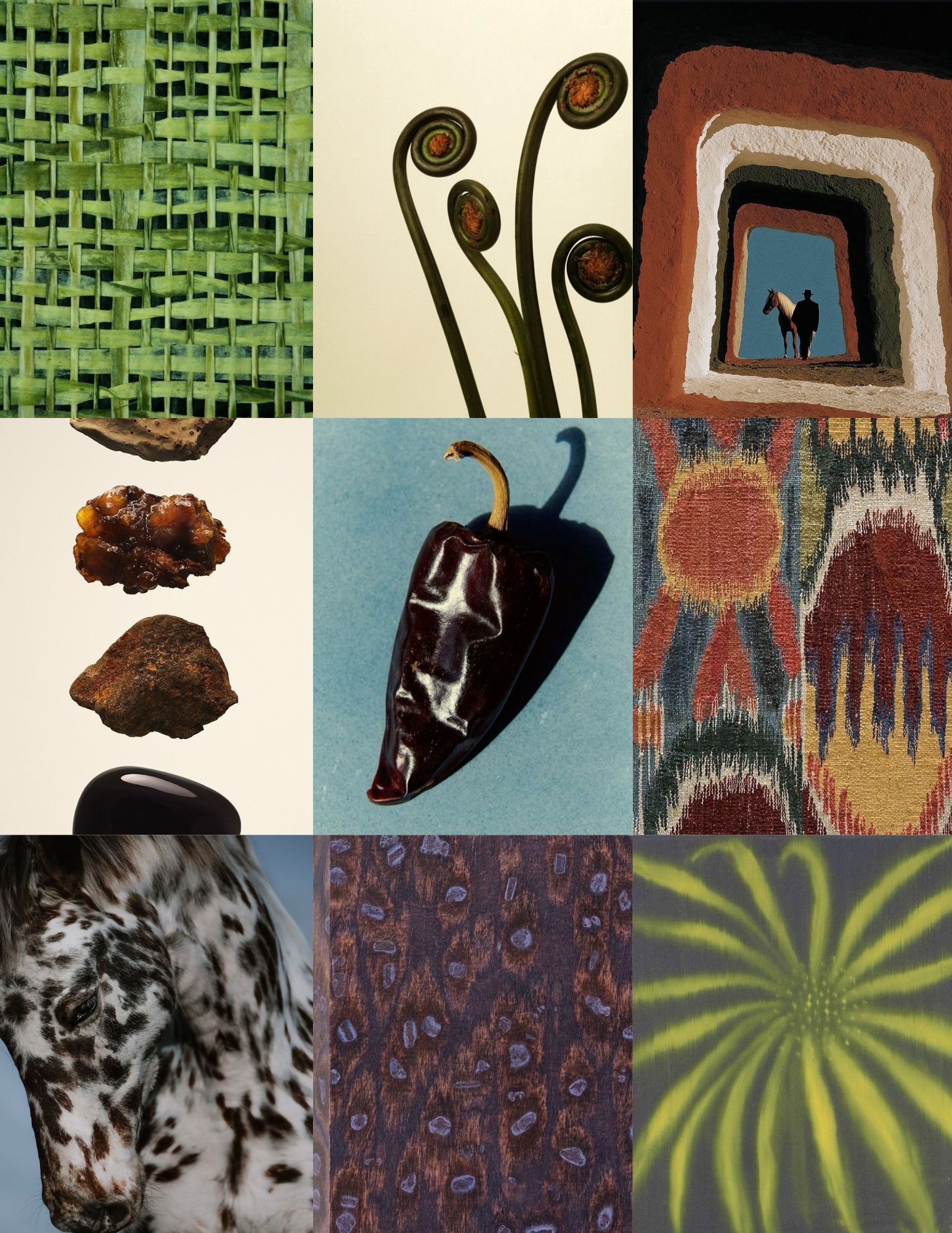 condesa residence mood board