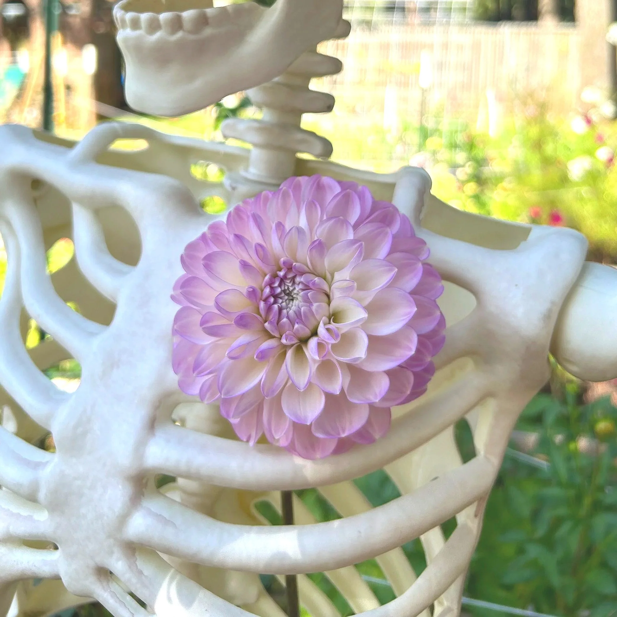 Marionberry Milkshake