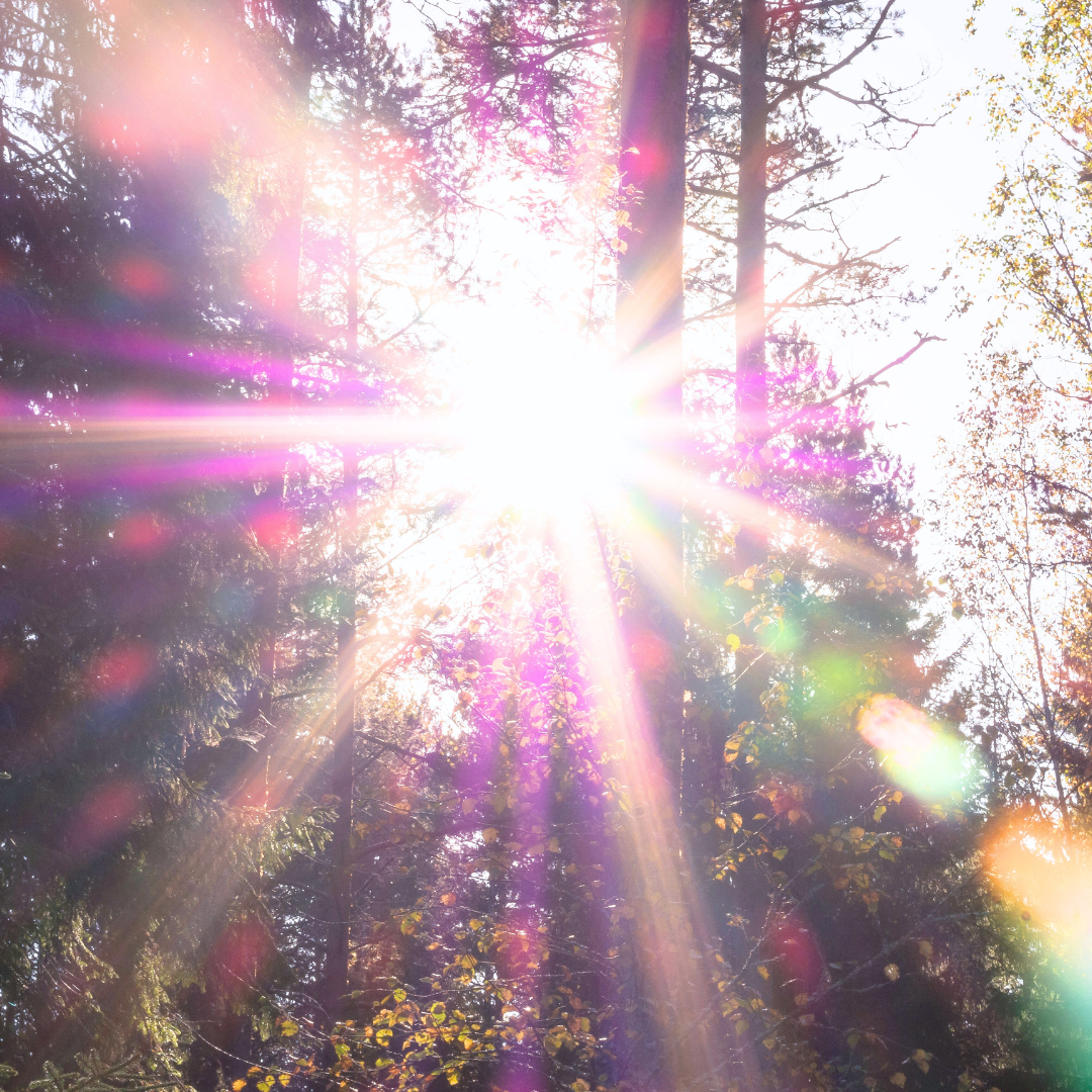 How to Exit the Matrix