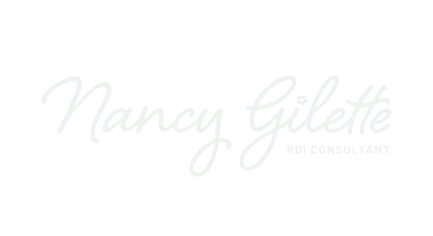 Nancy Gilette Consulting