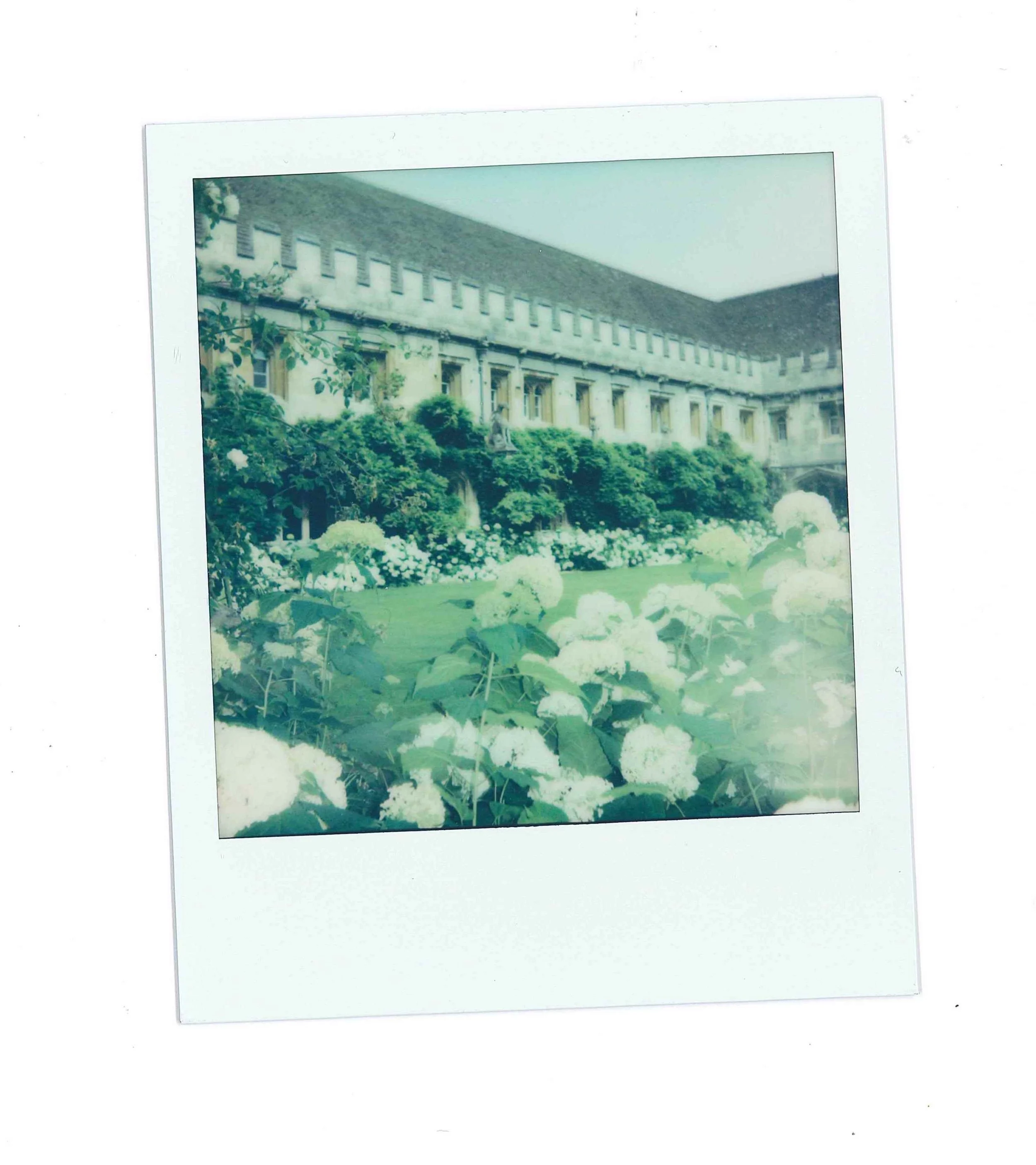 Sunyuna Magdalen Oxford.jpg