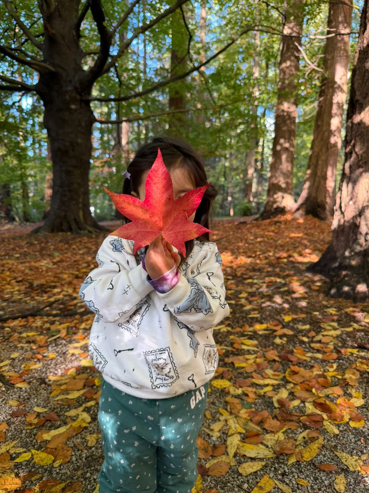 WhatsApp Image 2026-01-27 at 3.16.51 PM.jpeg