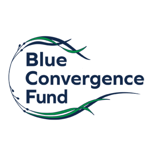 Blue Convergence Fund