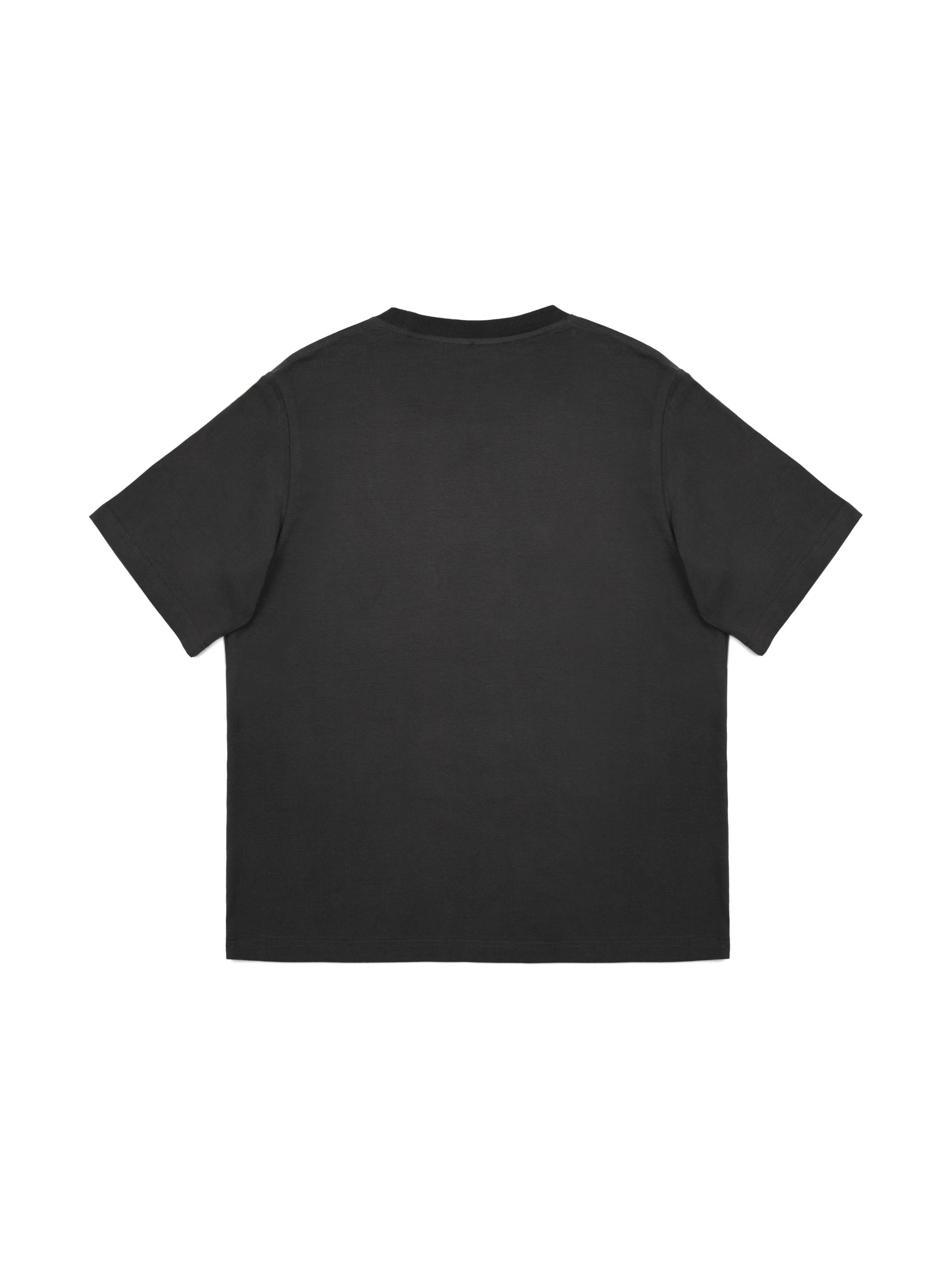 tshirtcinza1_.jpg