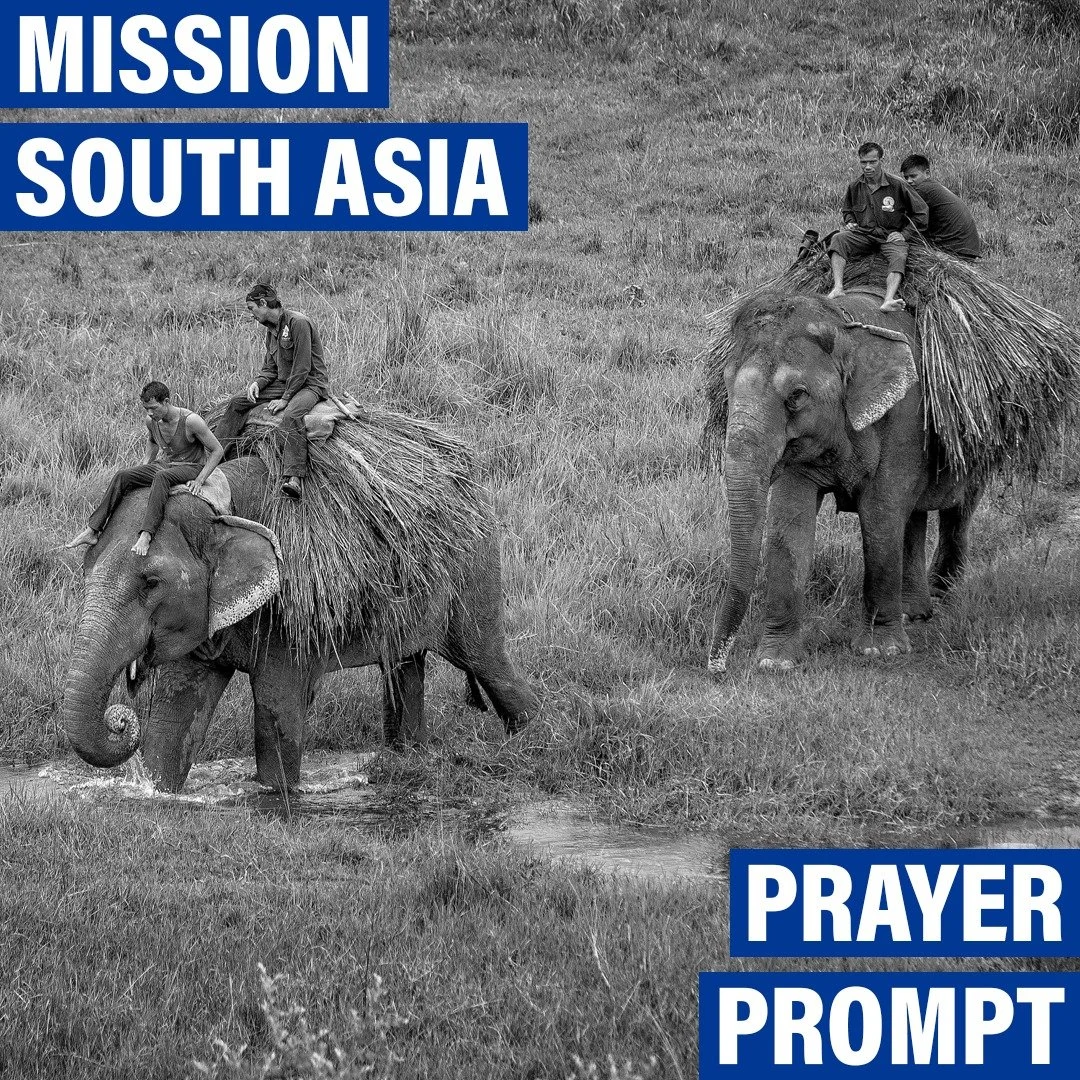 🌱 11/04 &ndash; Open Hearts and Receptive Soil

 Pray that God prepares hearts in South Asia to receive His Word. 🌱

Ask that every person the team meets would have open hearts and listening ears. May the gospel take root deeply and bear lasting fr