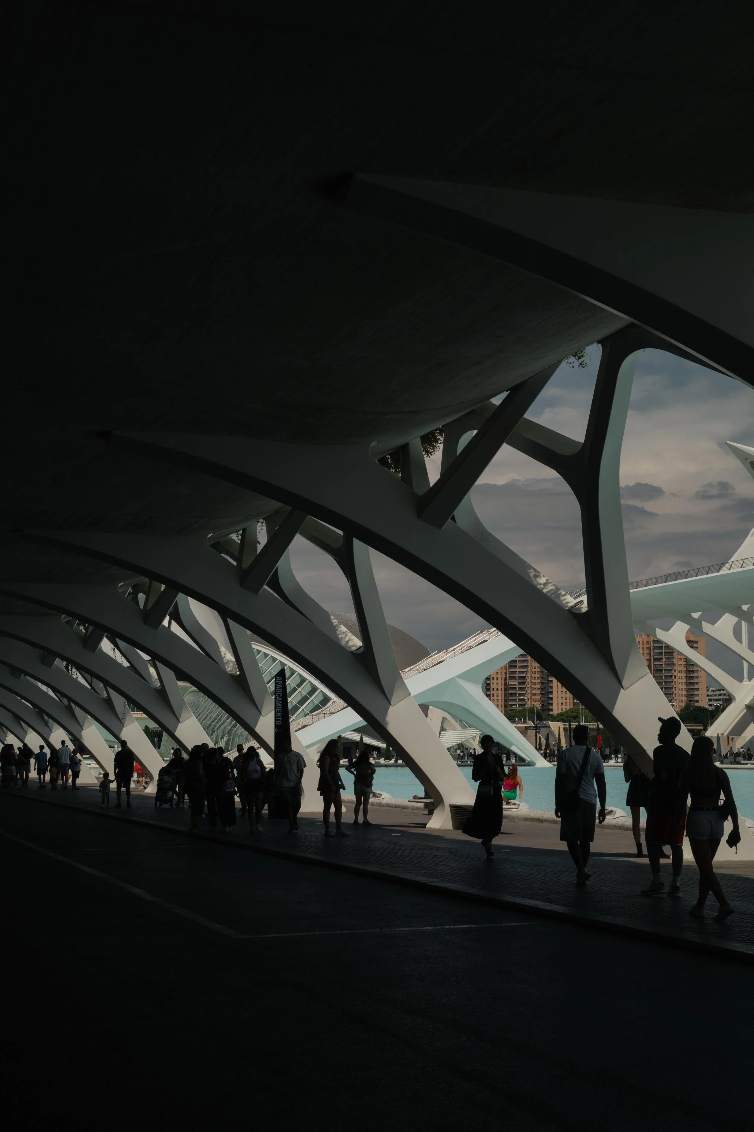 240814_Valencia_D2-10.jpg