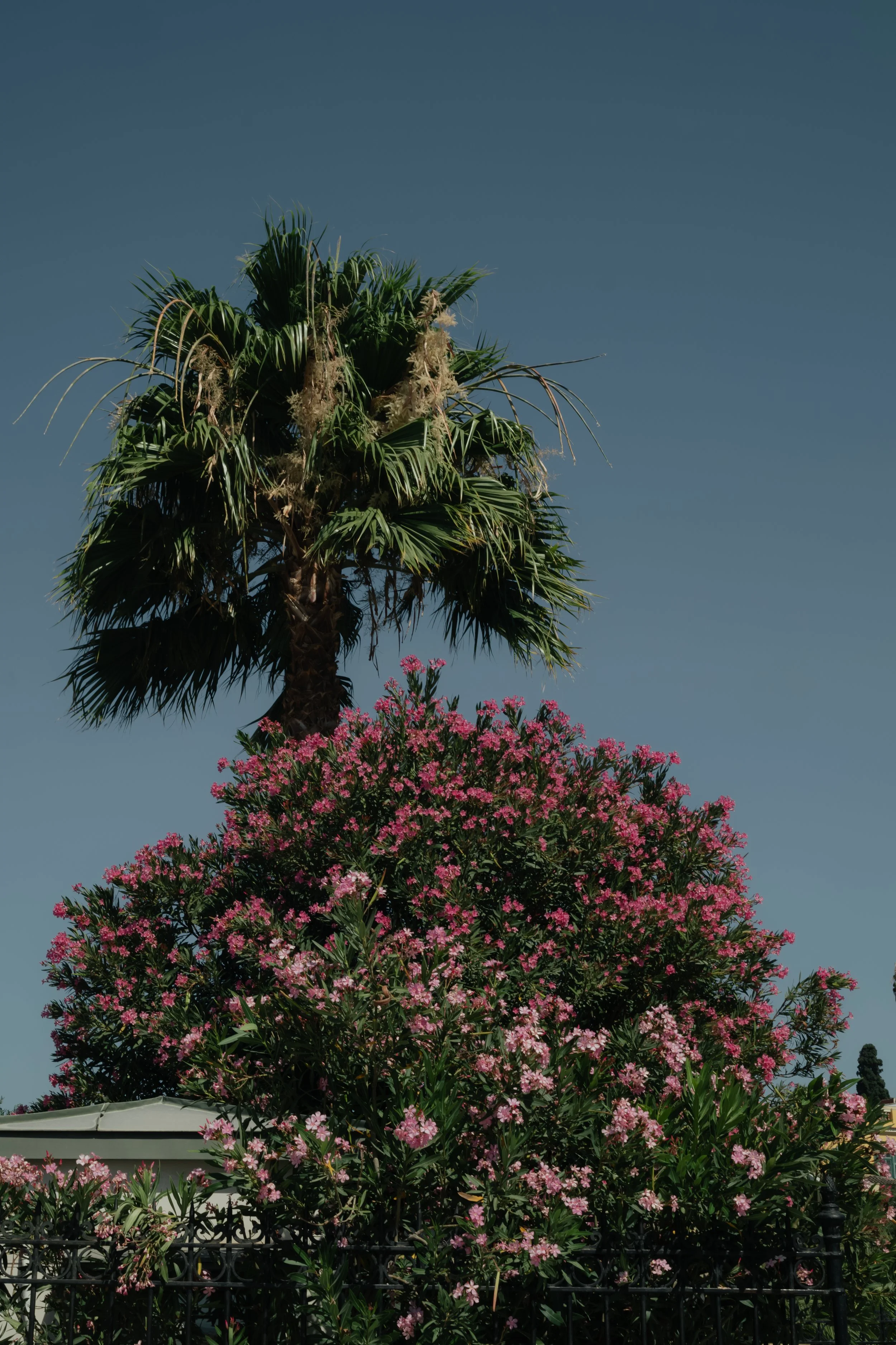 240621_athen-19.jpg
