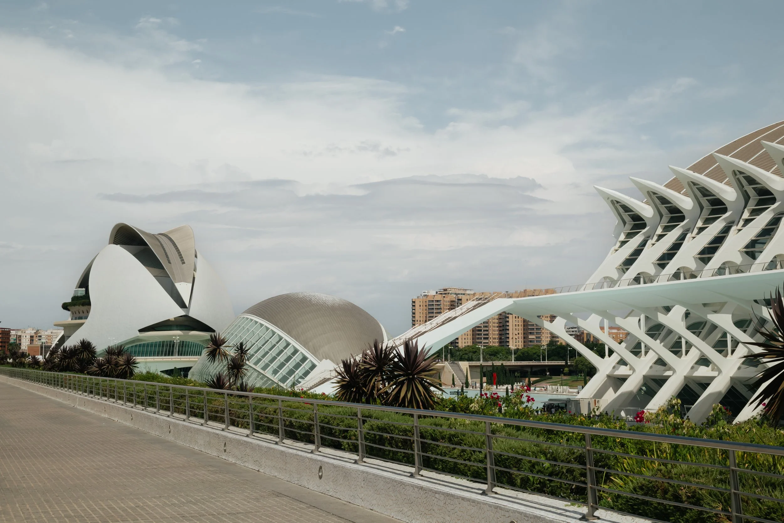 240814_Valencia_D2-9.jpg