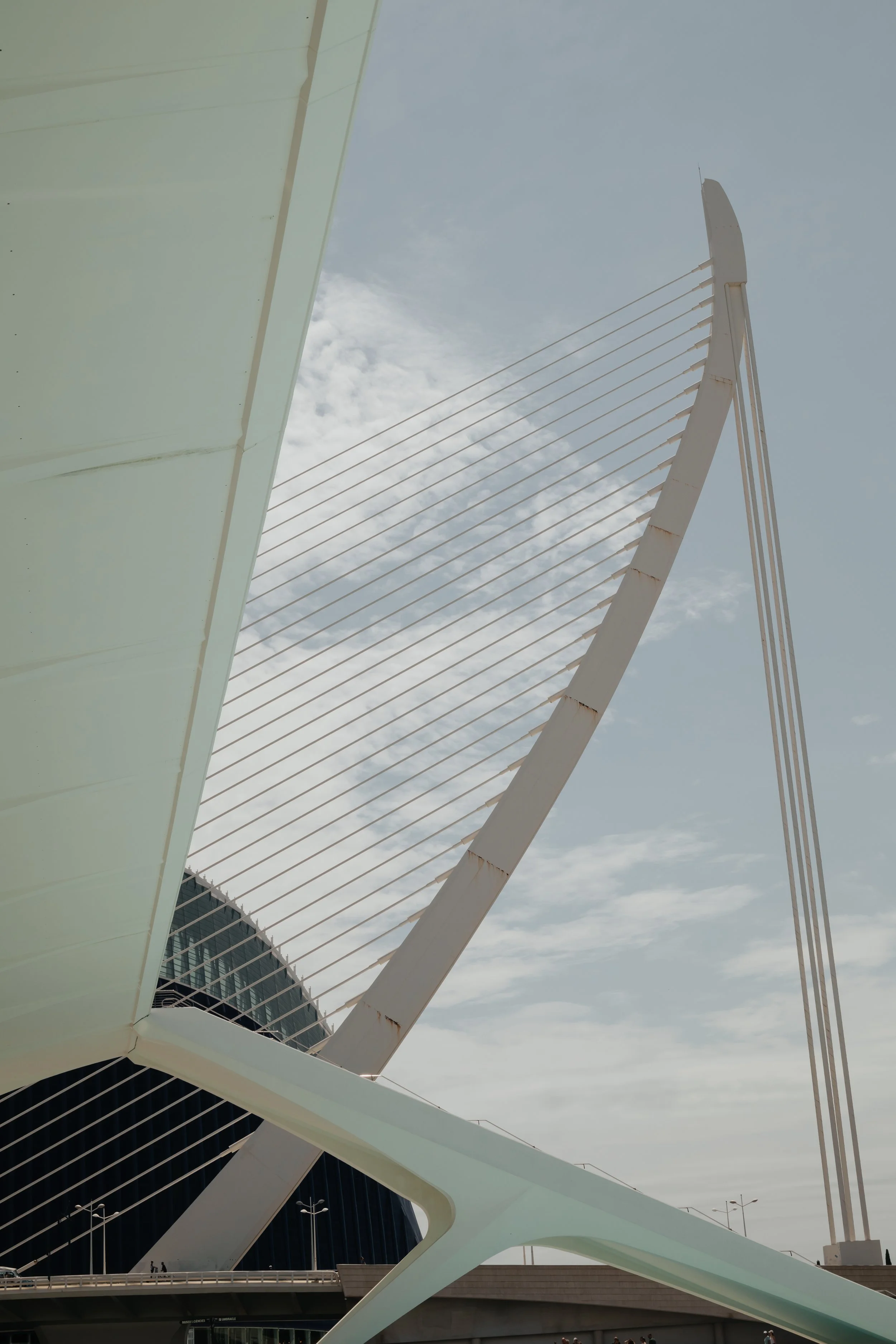 240814_Valencia_D2-16.jpg