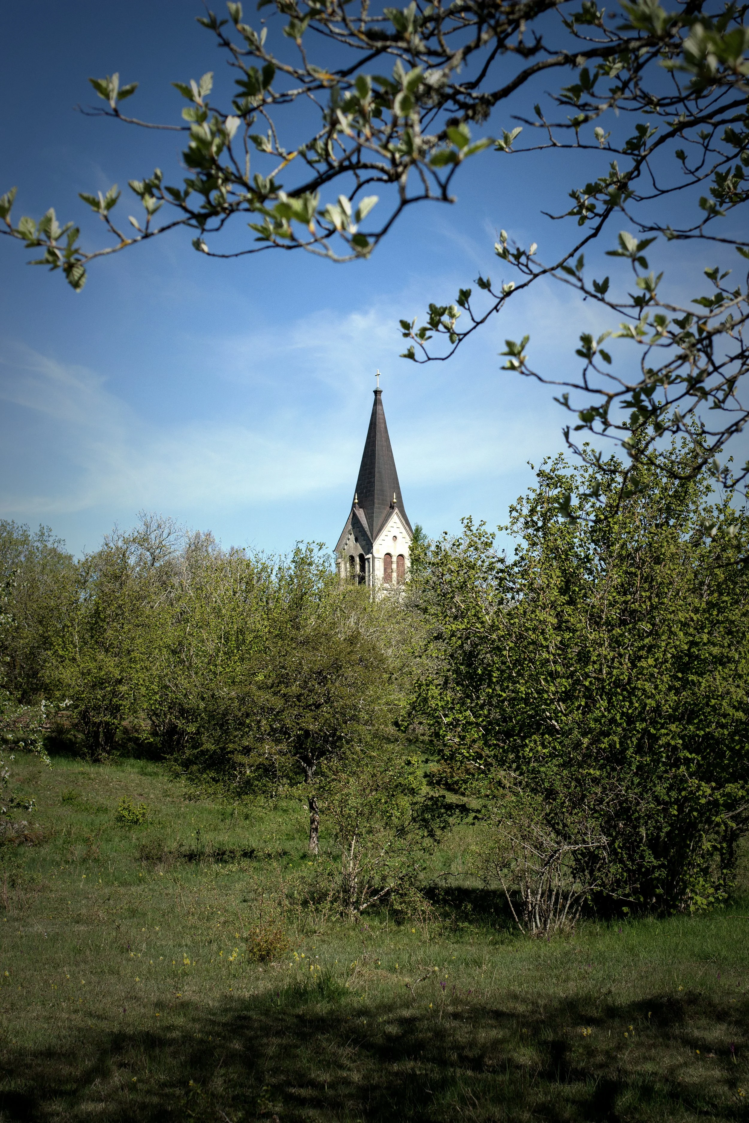 IMG_6647 kopiera.jpg