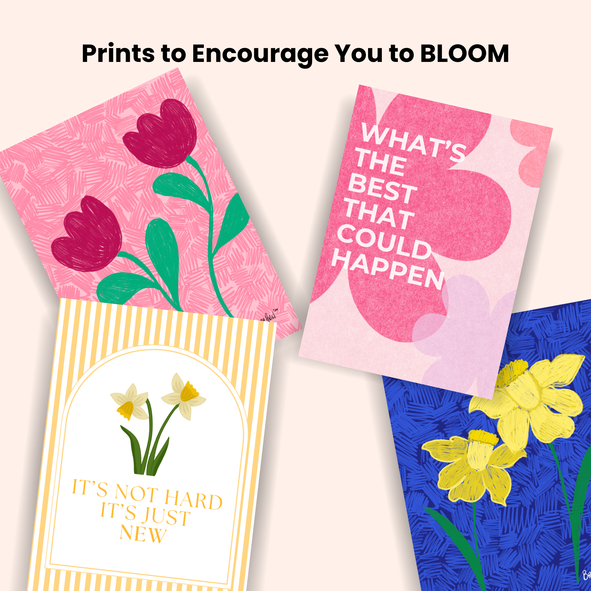 Snail Mail Announcement - April 2026.png (Copy)