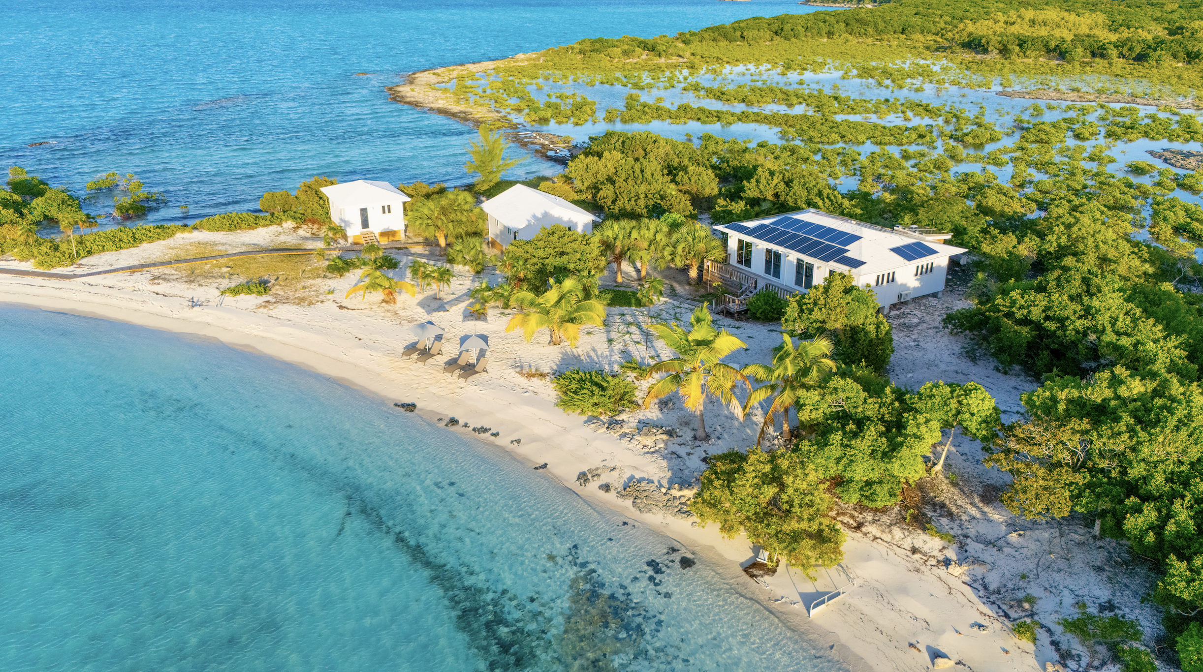 Screenshot 2024-12-21 at 10.45.16 AM.png