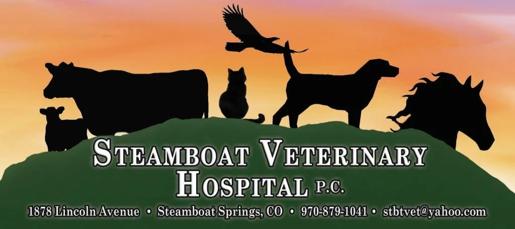 SVH LOGO.jpg