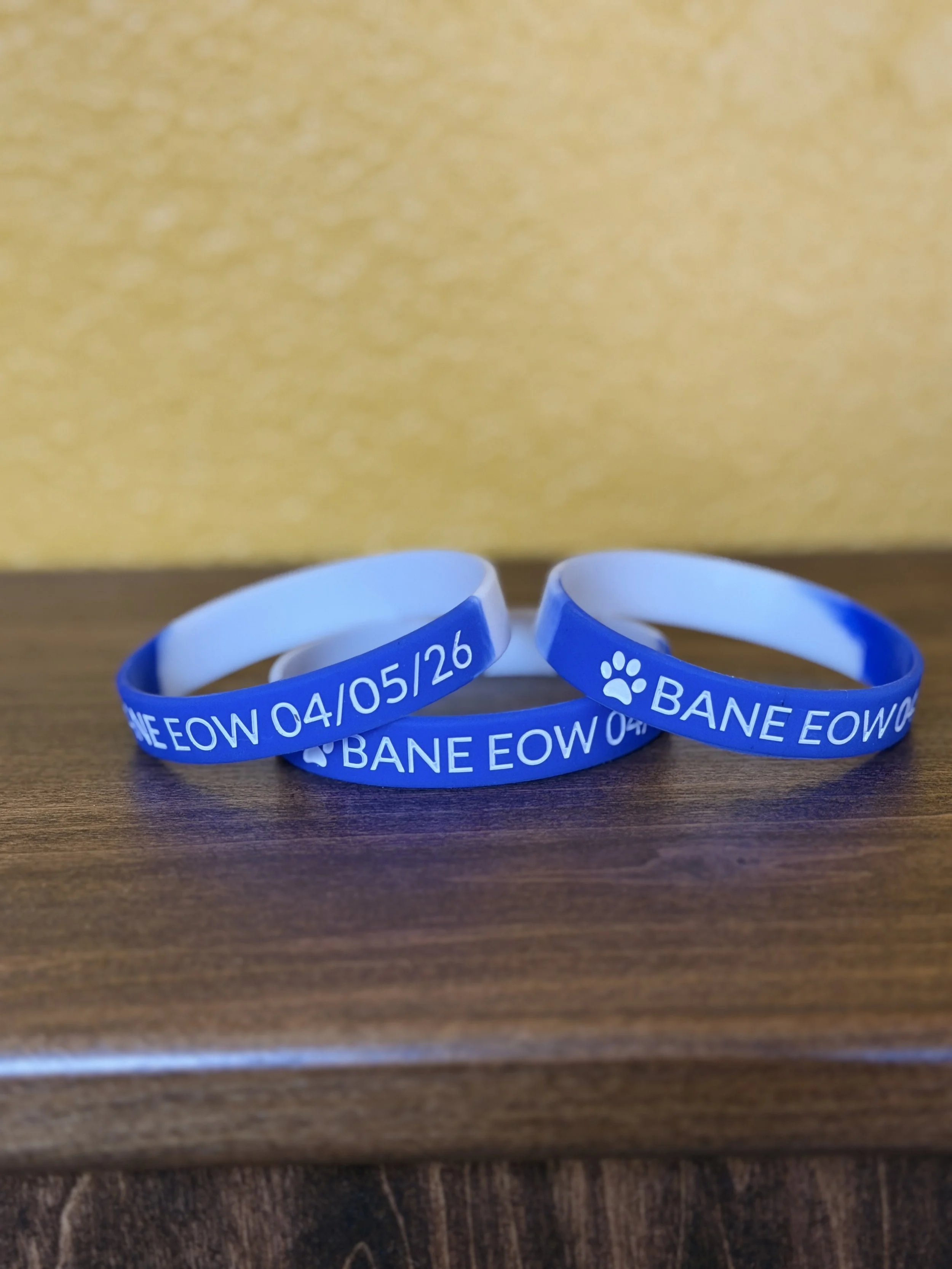 K9 Bane EOW Bracelet