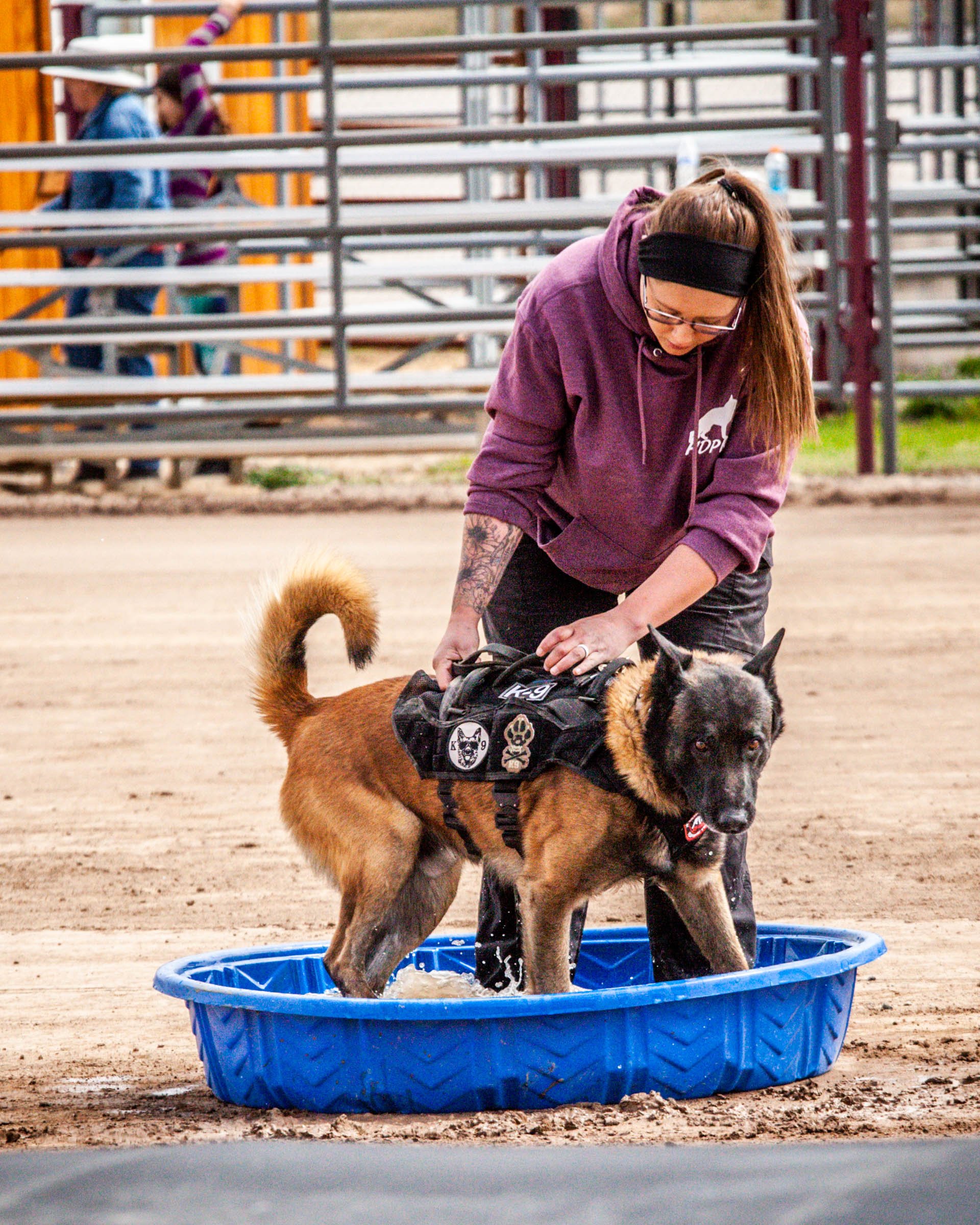 Gallery 3 — High Desert Police K-9 Association