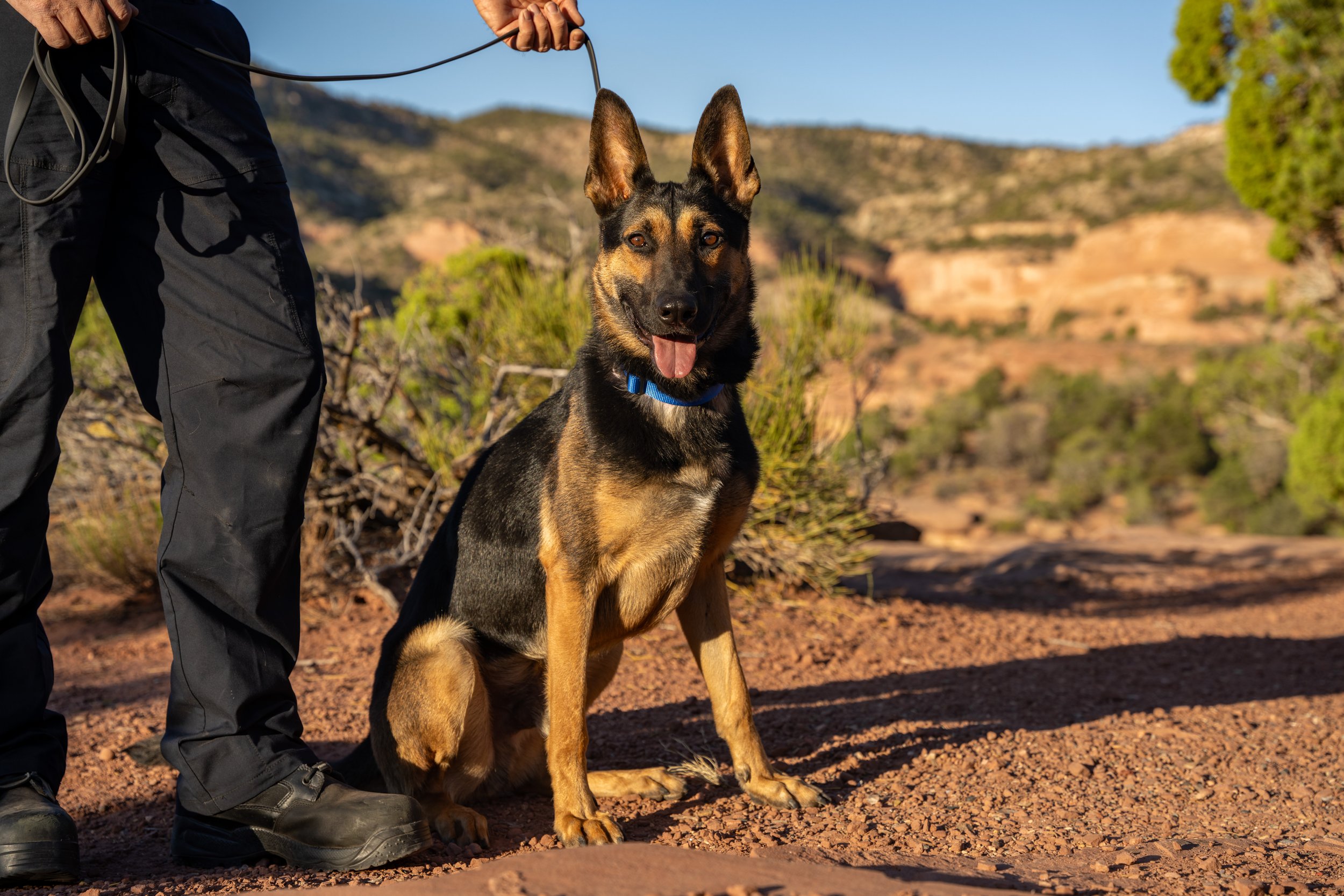 072825_K-9 Pike and M. Richman_CPW RGonzales-3.JPEG