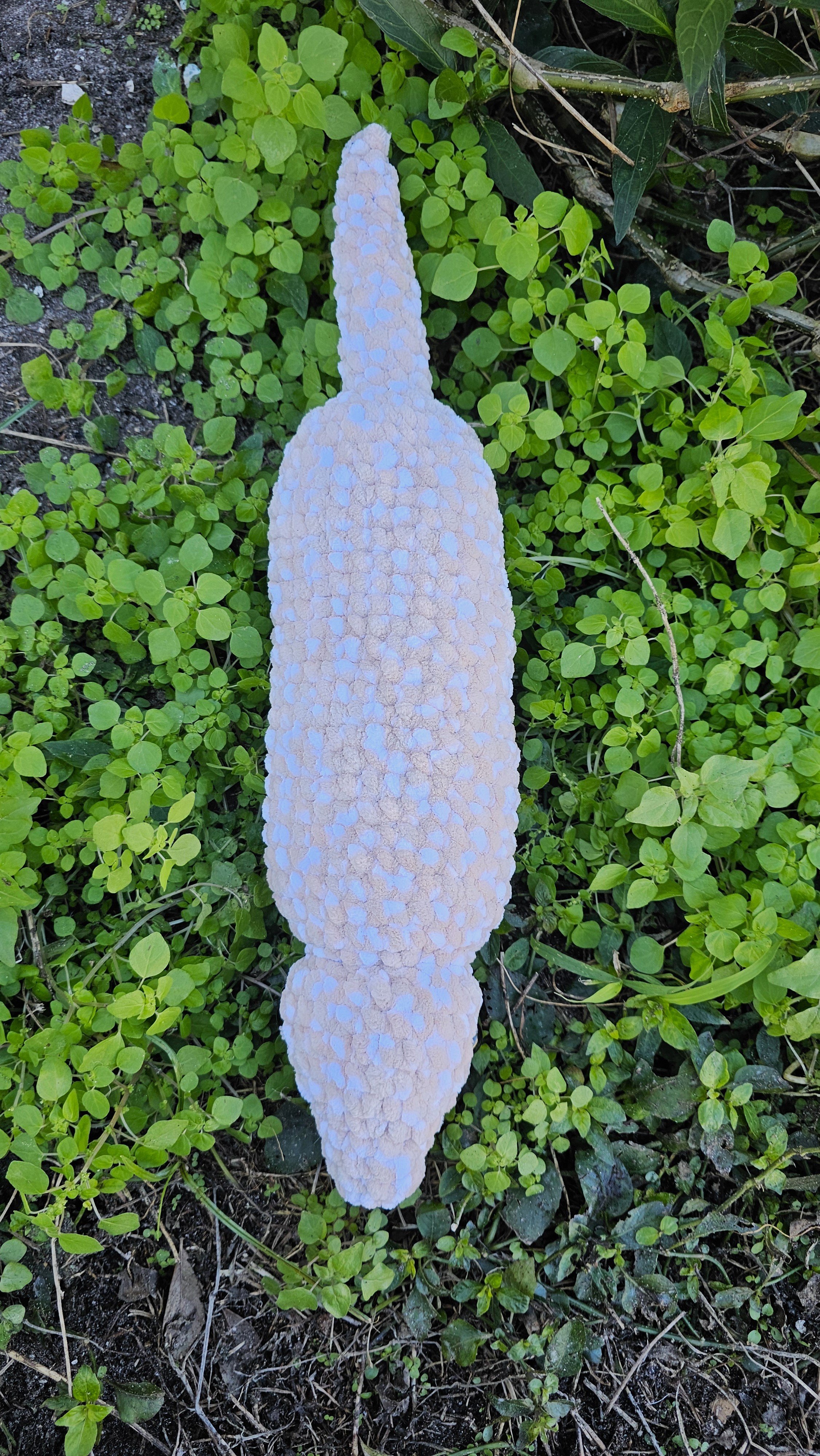 tsuchinoko top.jpg