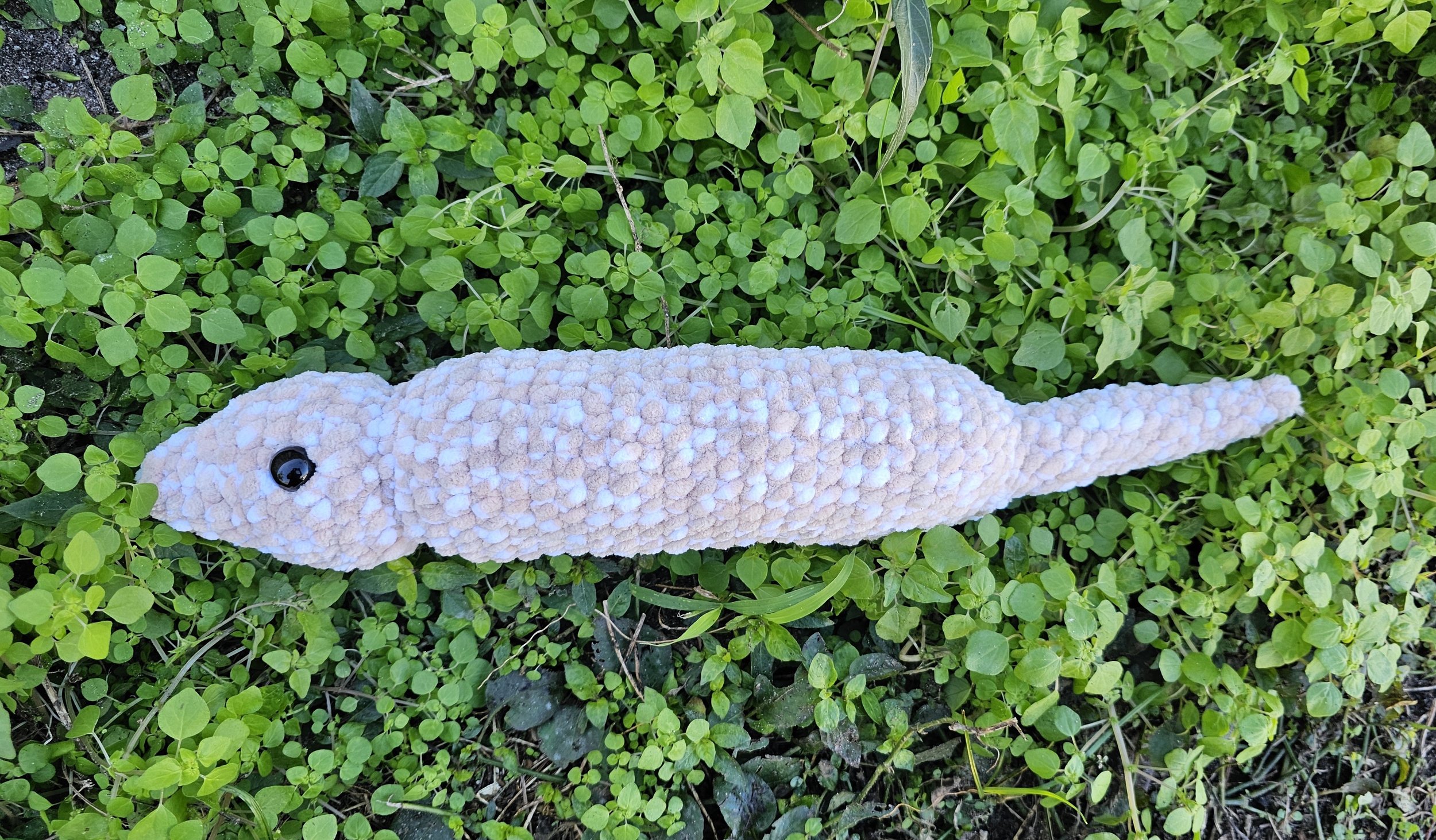 tsuchinoko side.jpg